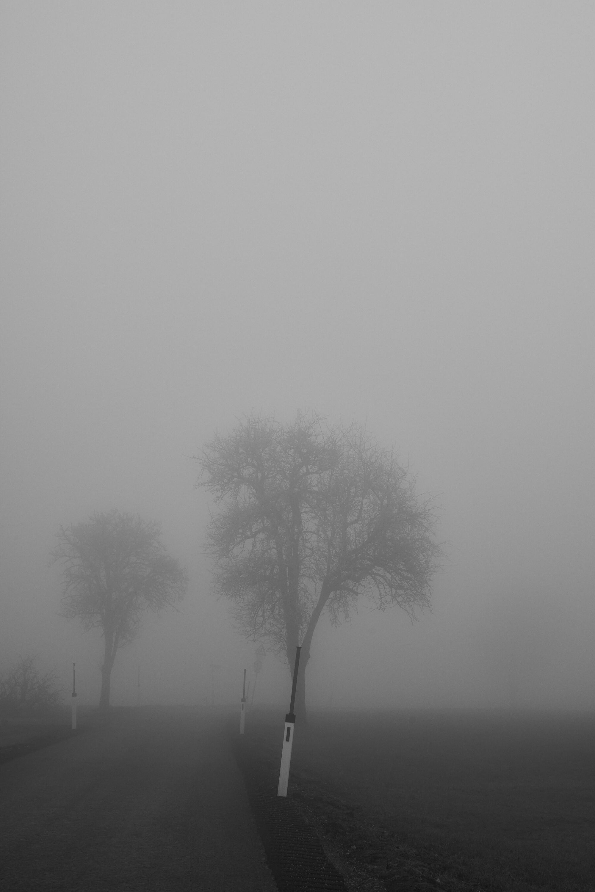 LEICA M11 Monochrom L1002968