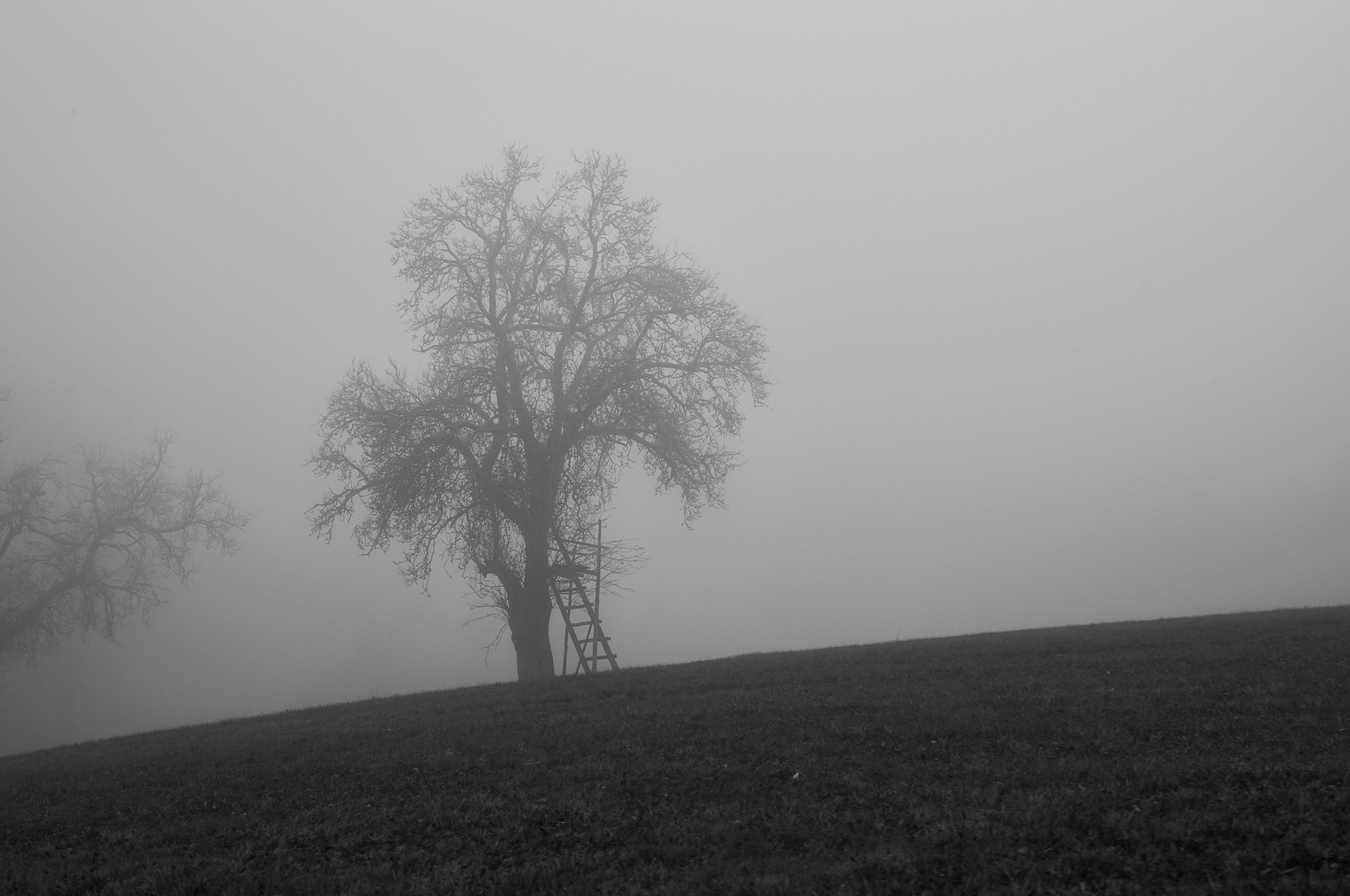 LEICA M11 Monochrom L1002973
