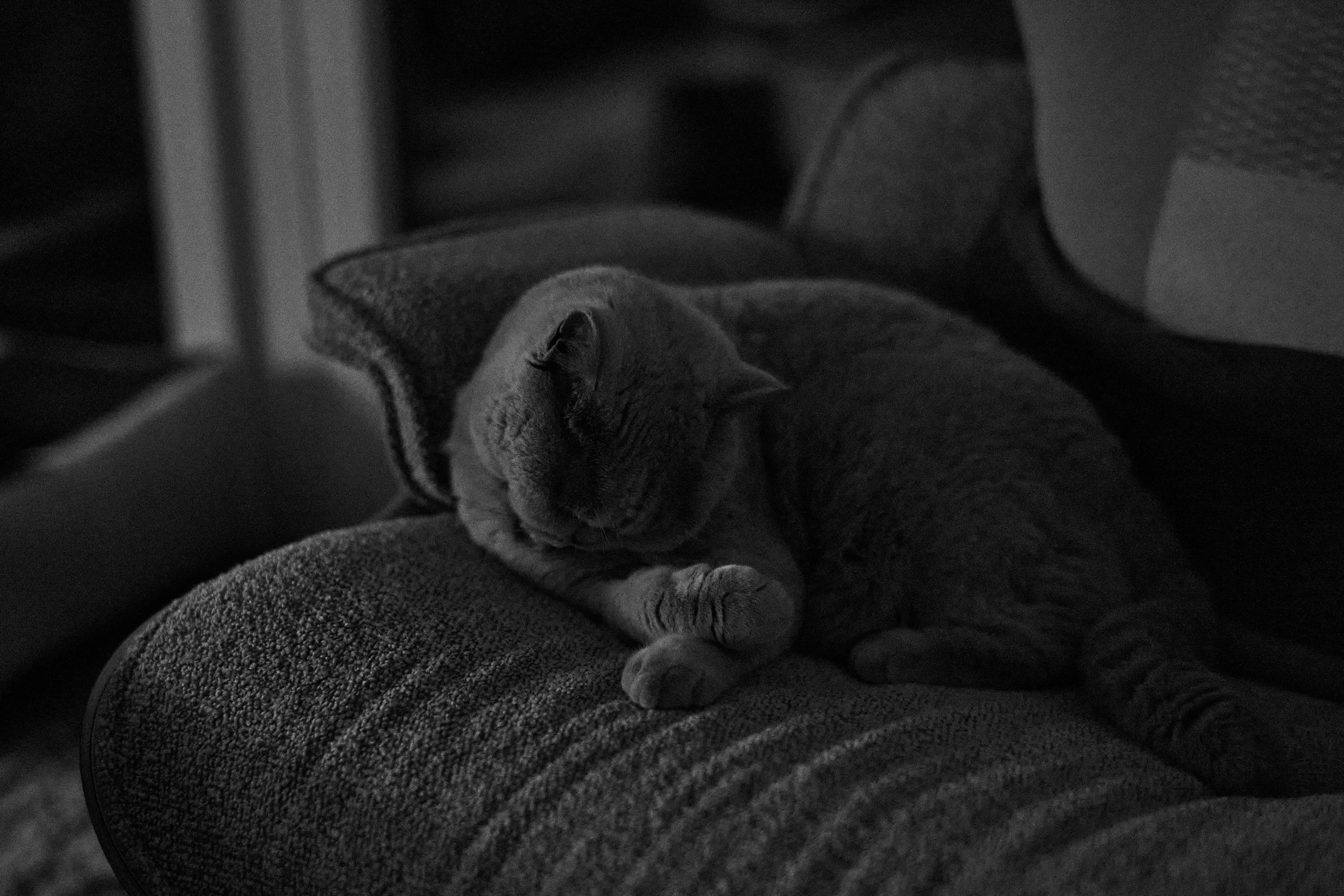 LEICA M11 Monochrom L1002989