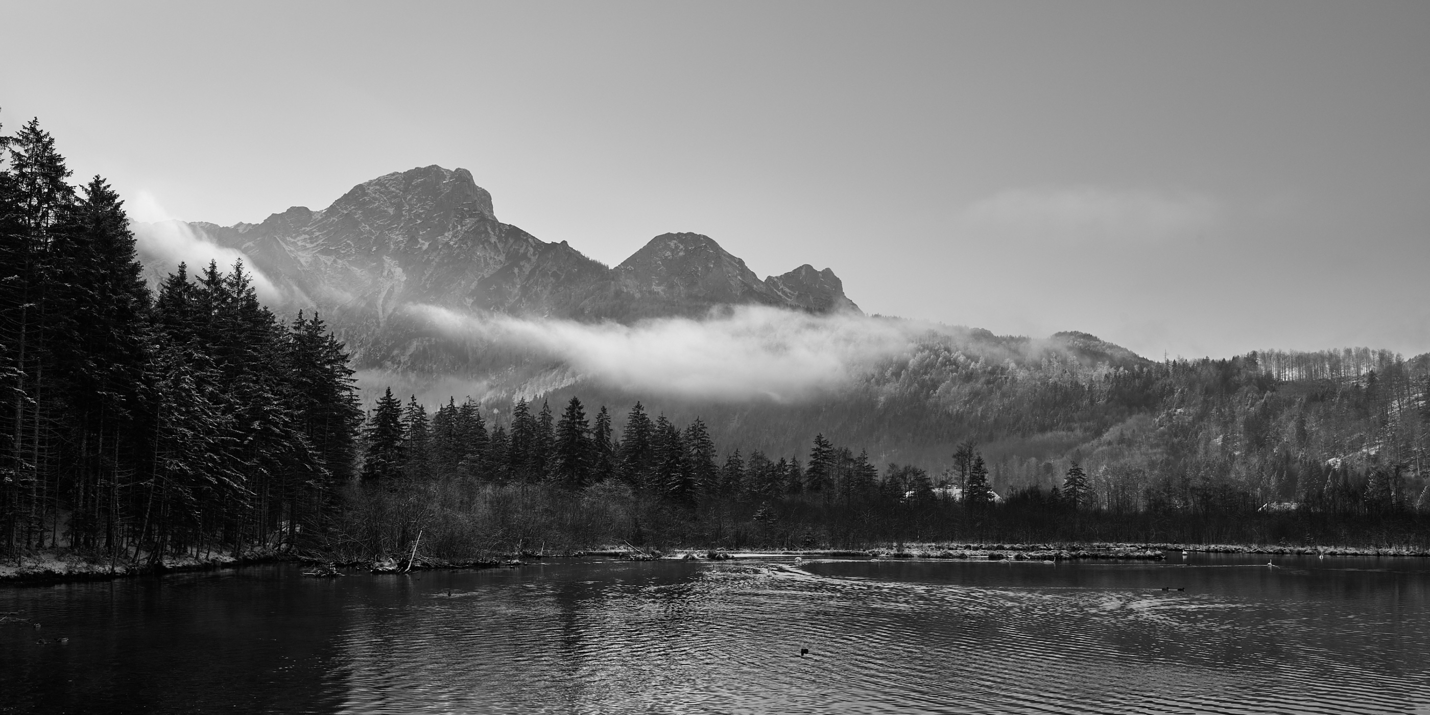 LEICA M11 Monochrom L1003016