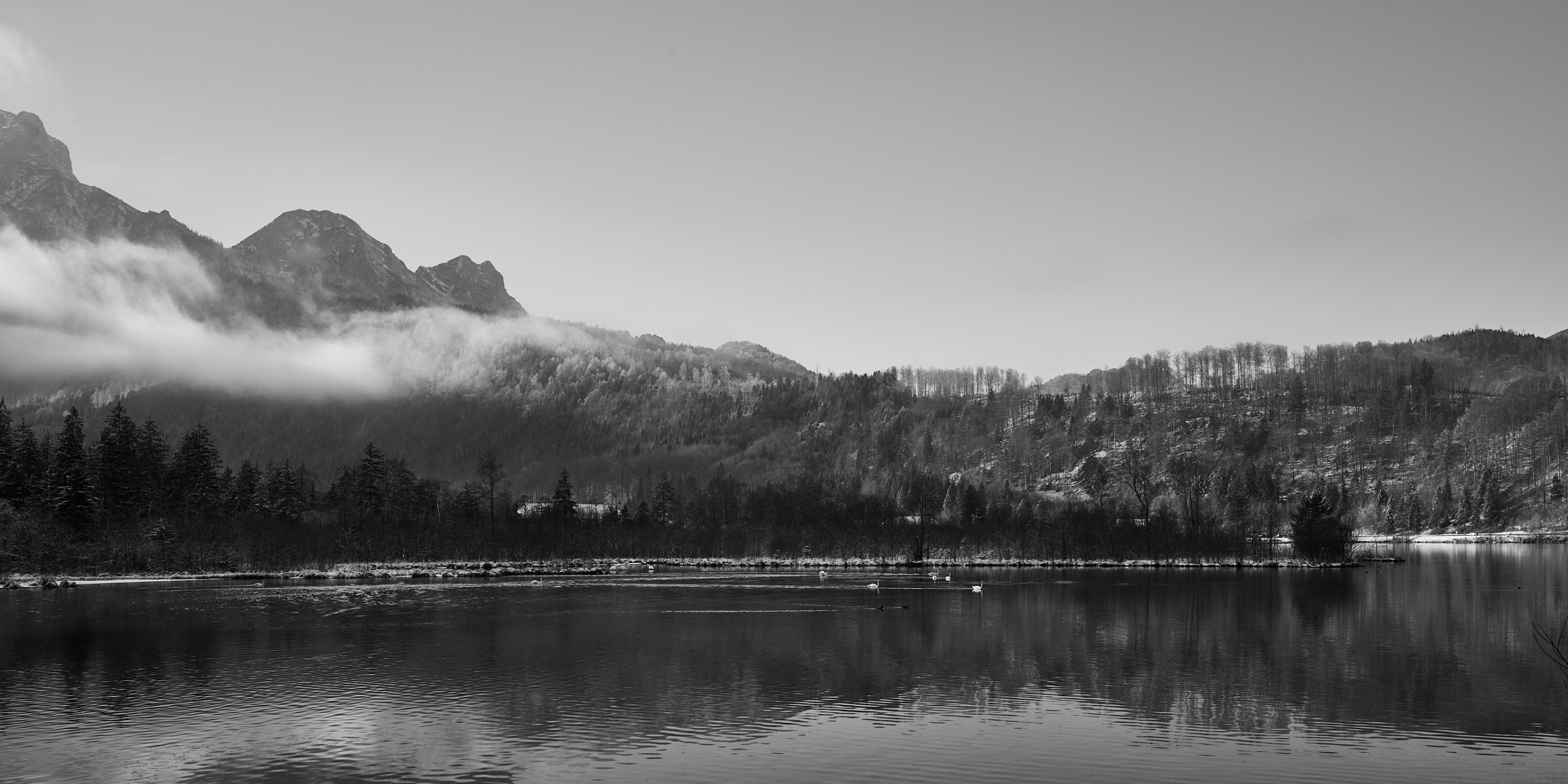 LEICA M11 Monochrom L1003017