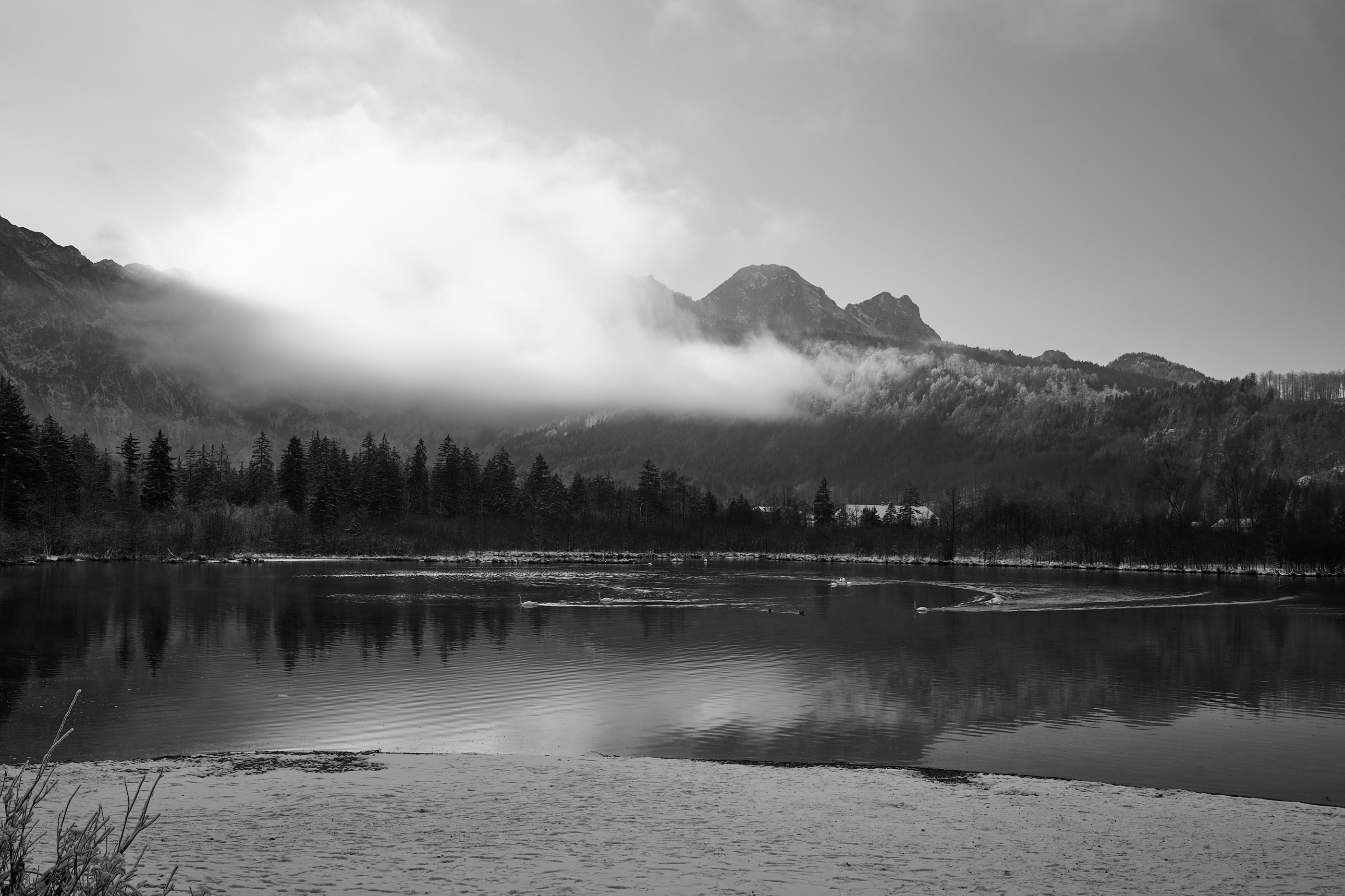 LEICA M11 Monochrom L1003018