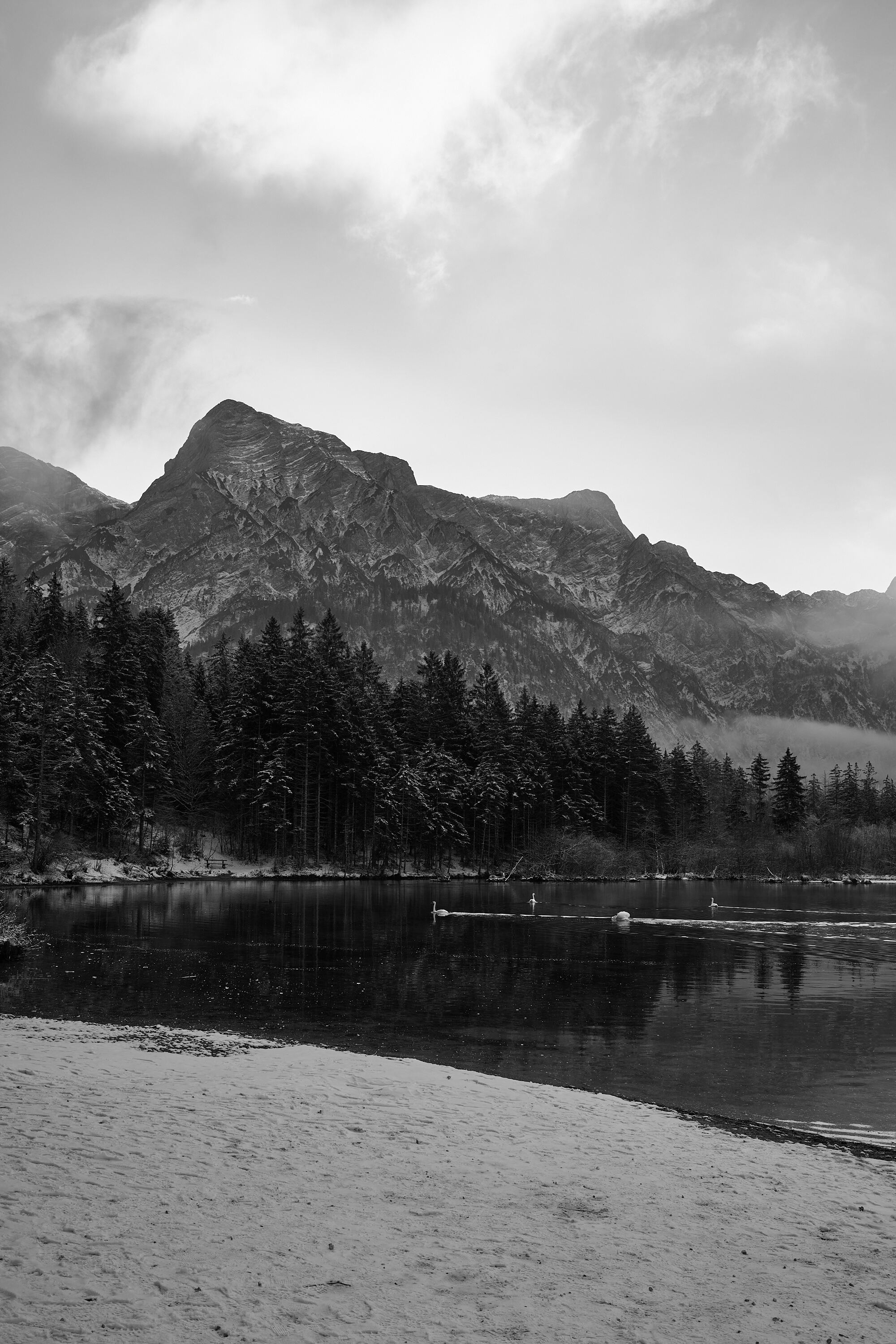 LEICA M11 Monochrom L1003019