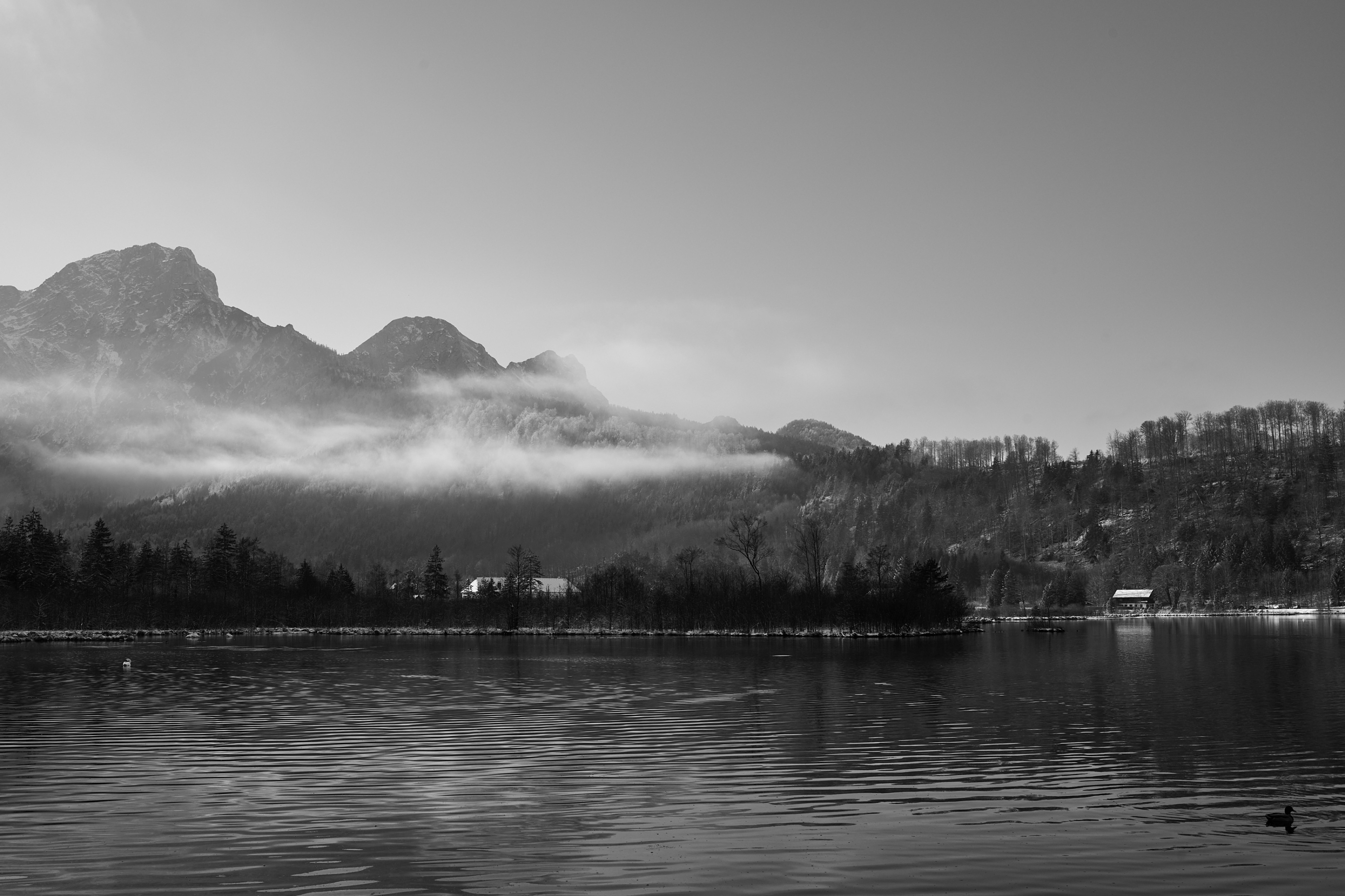 LEICA M11 Monochrom L1003021