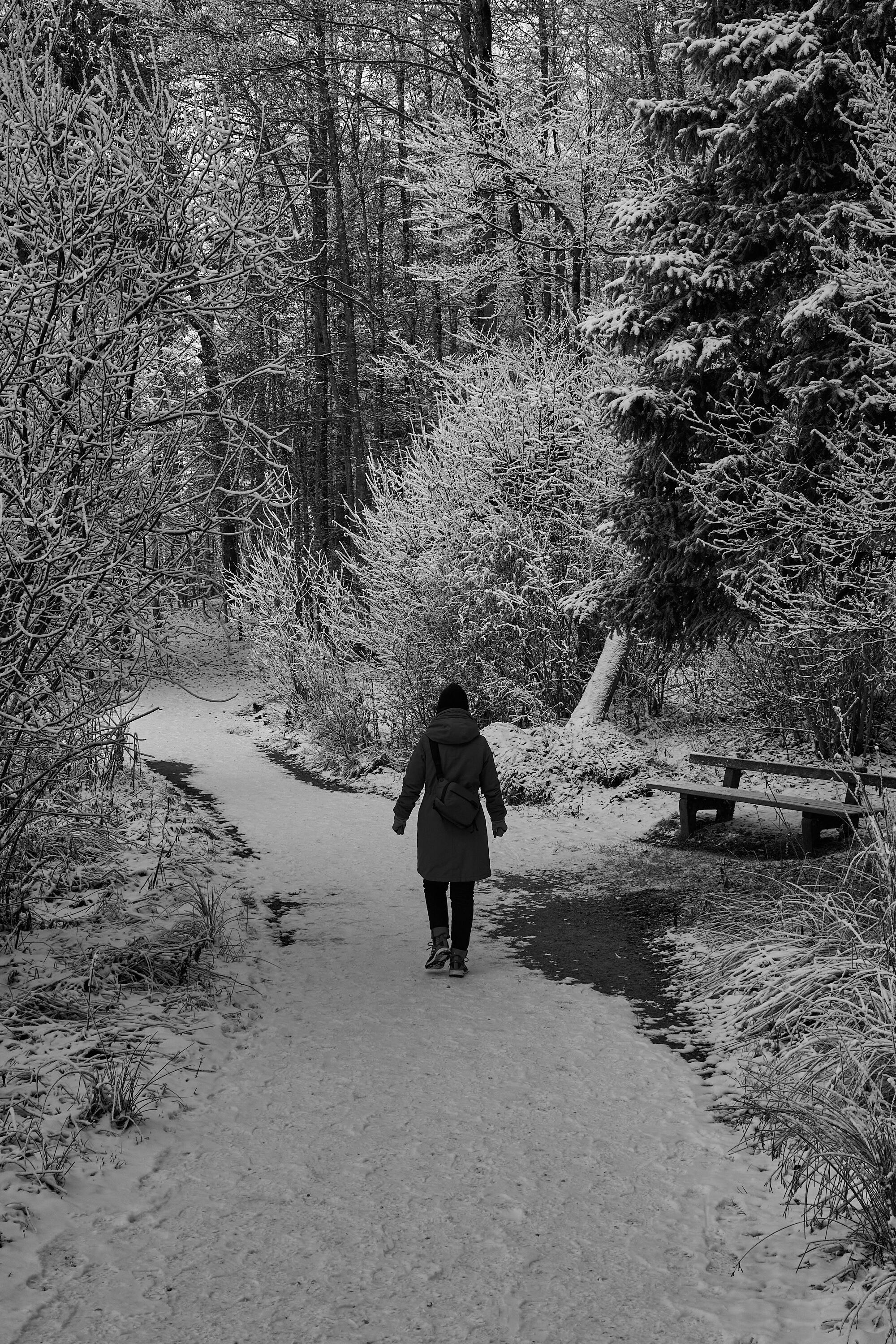 LEICA M11 Monochrom L1003023