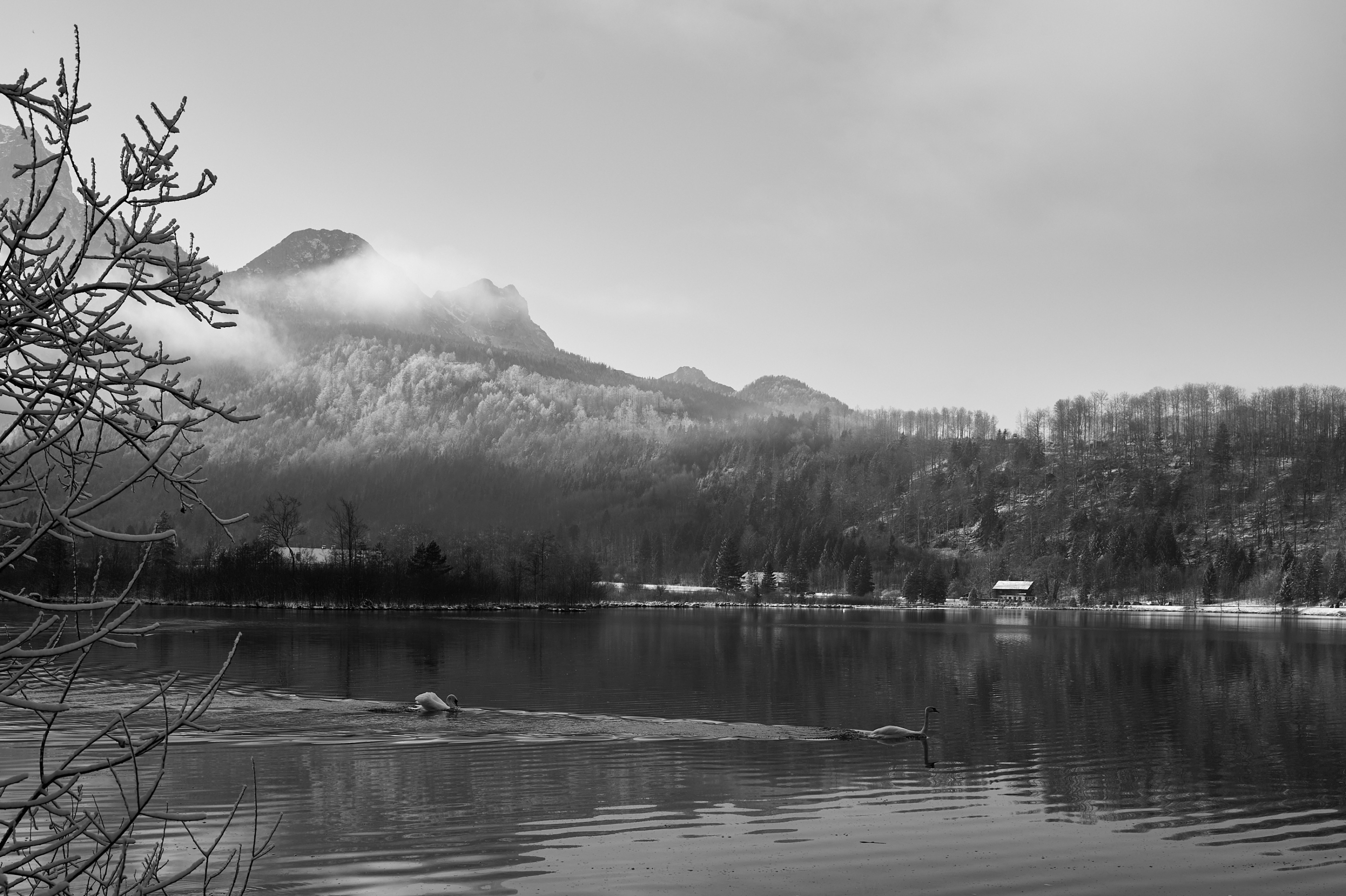 LEICA M11 Monochrom L1003024