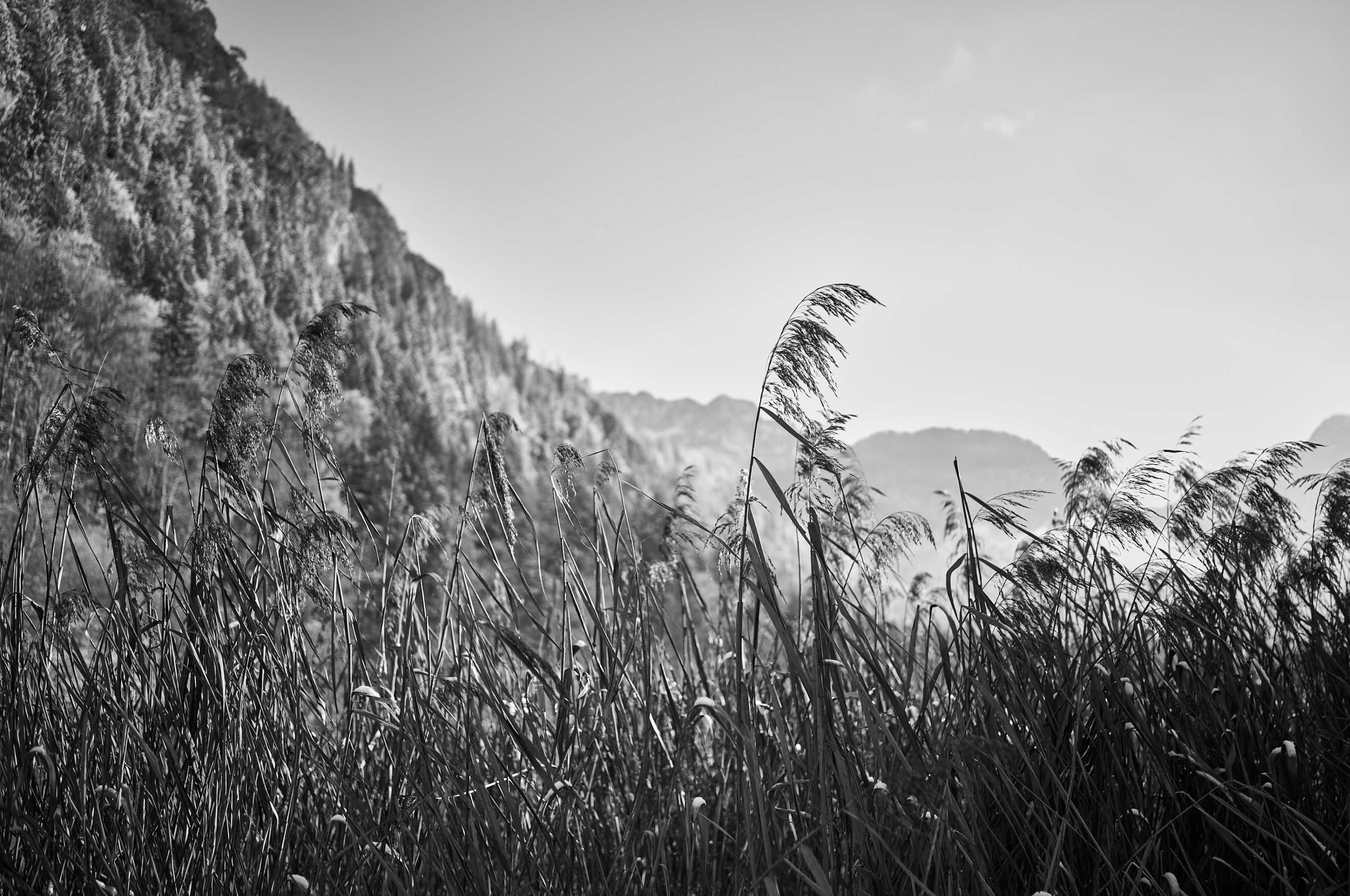 LEICA M11 Monochrom L1003053