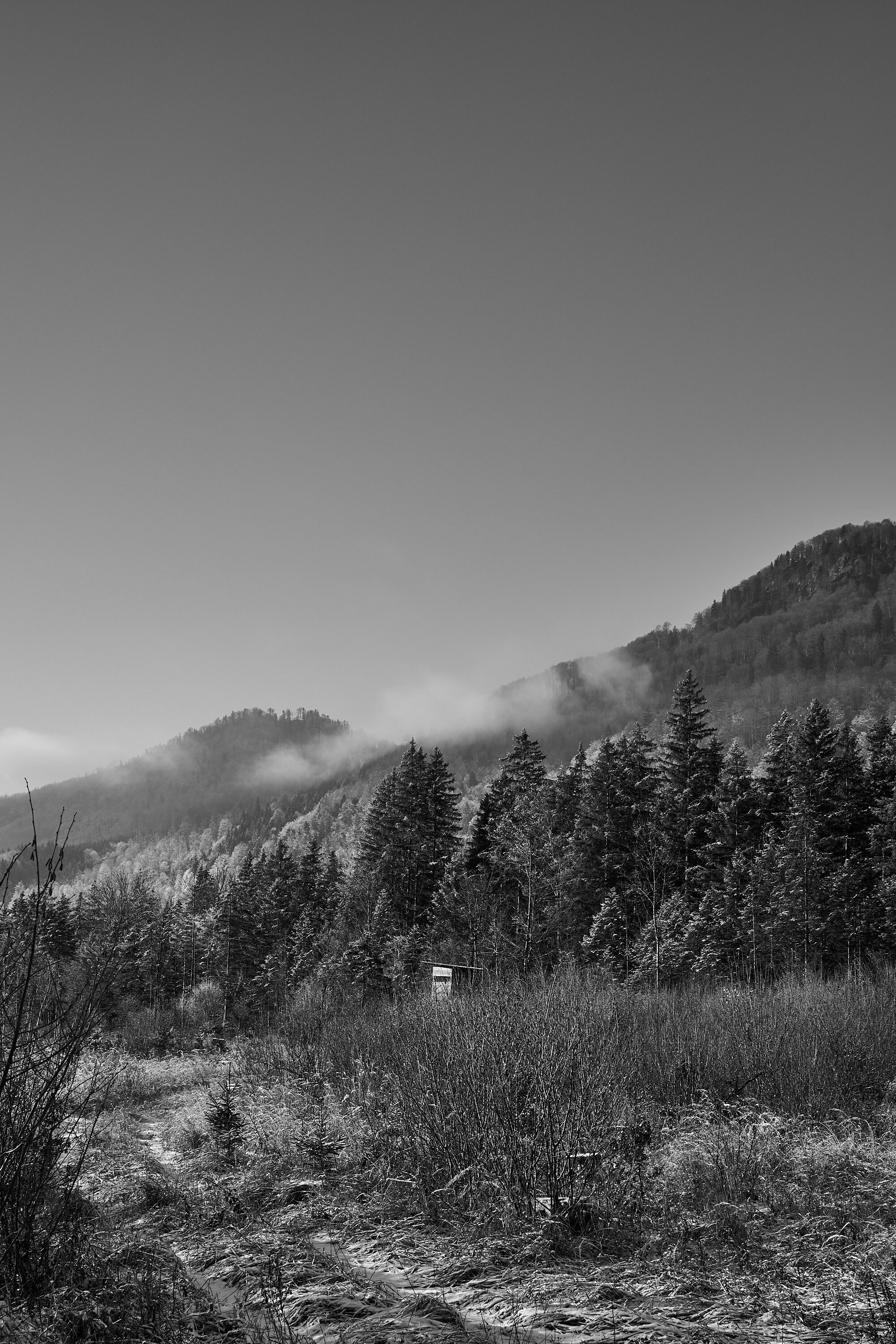 LEICA M11 Monochrom L1003060