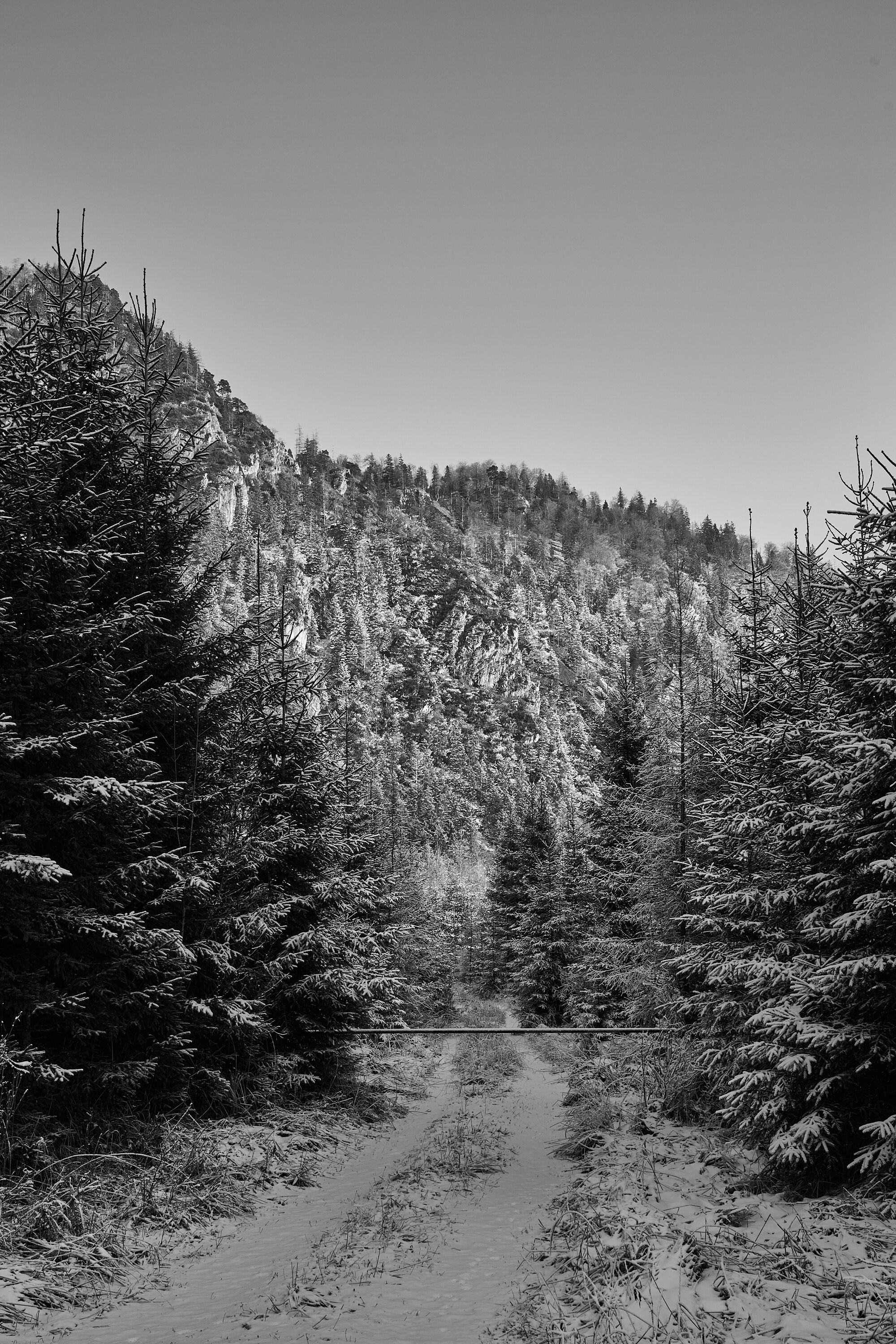 LEICA M11 Monochrom L1003069