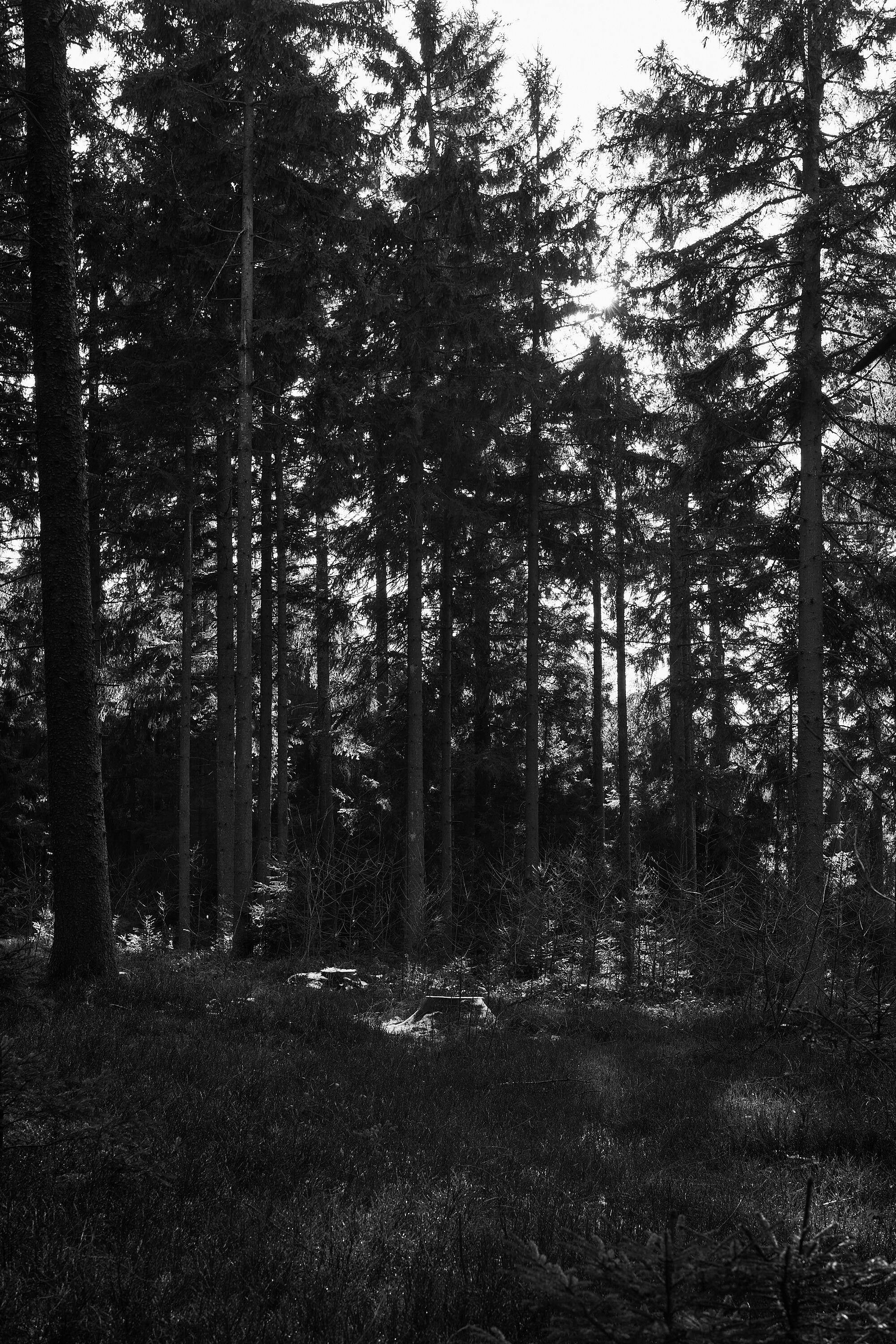 LEICA M11 Monochrom L1003119