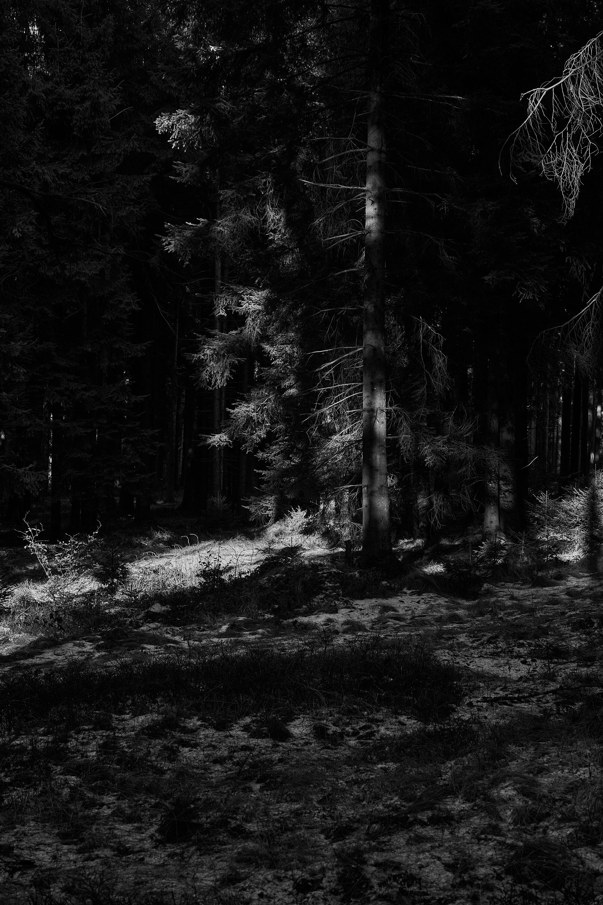 LEICA M11 Monochrom L1003120