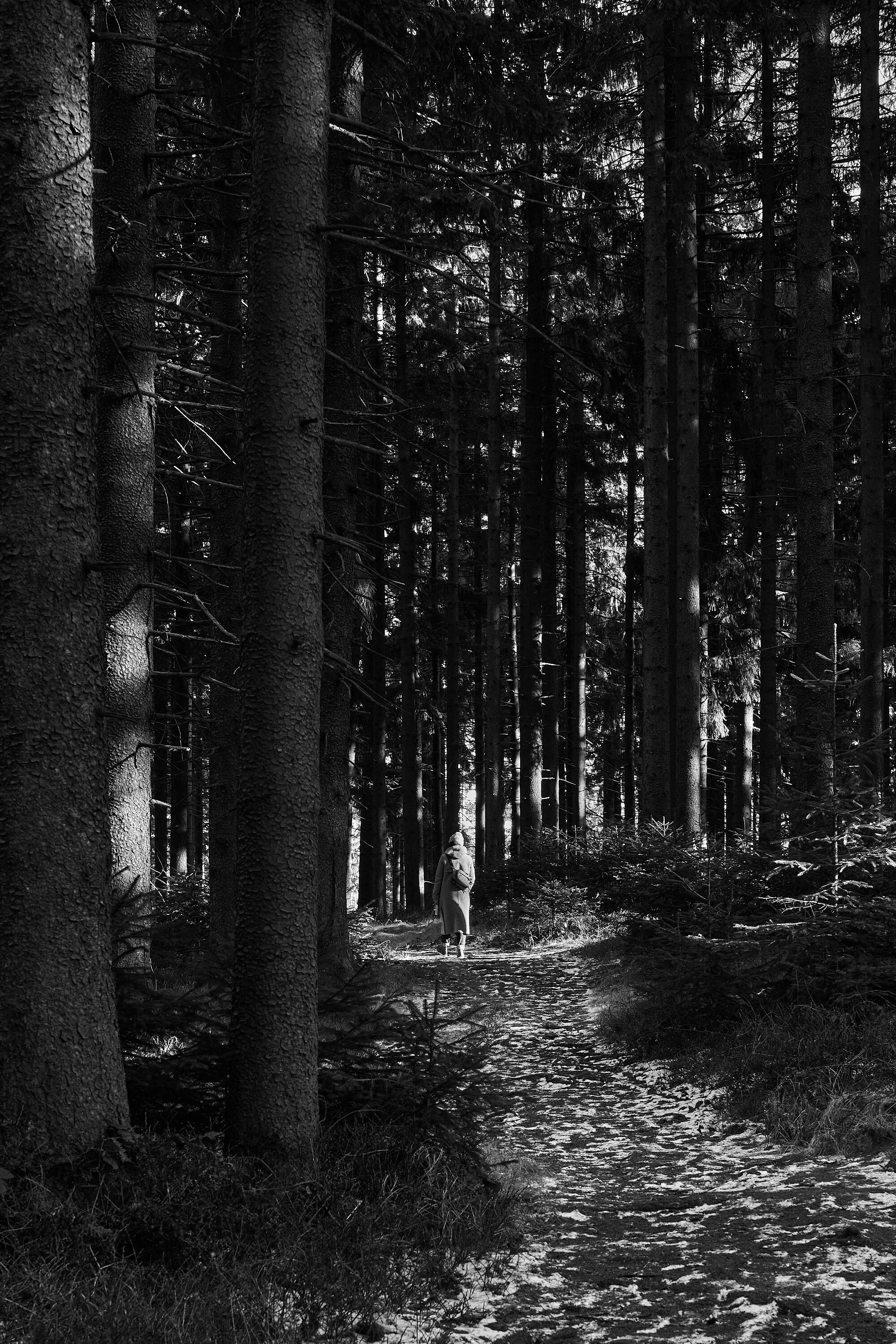 LEICA M11 Monochrom L1003121