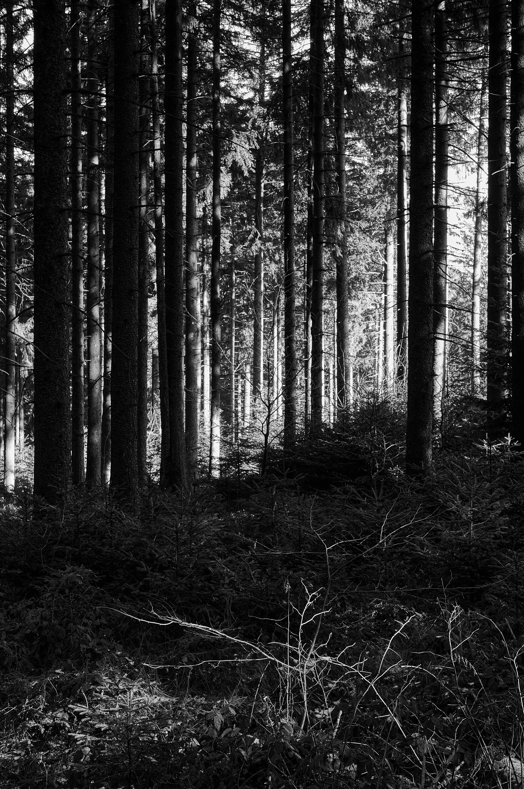 LEICA M11 Monochrom L1003129