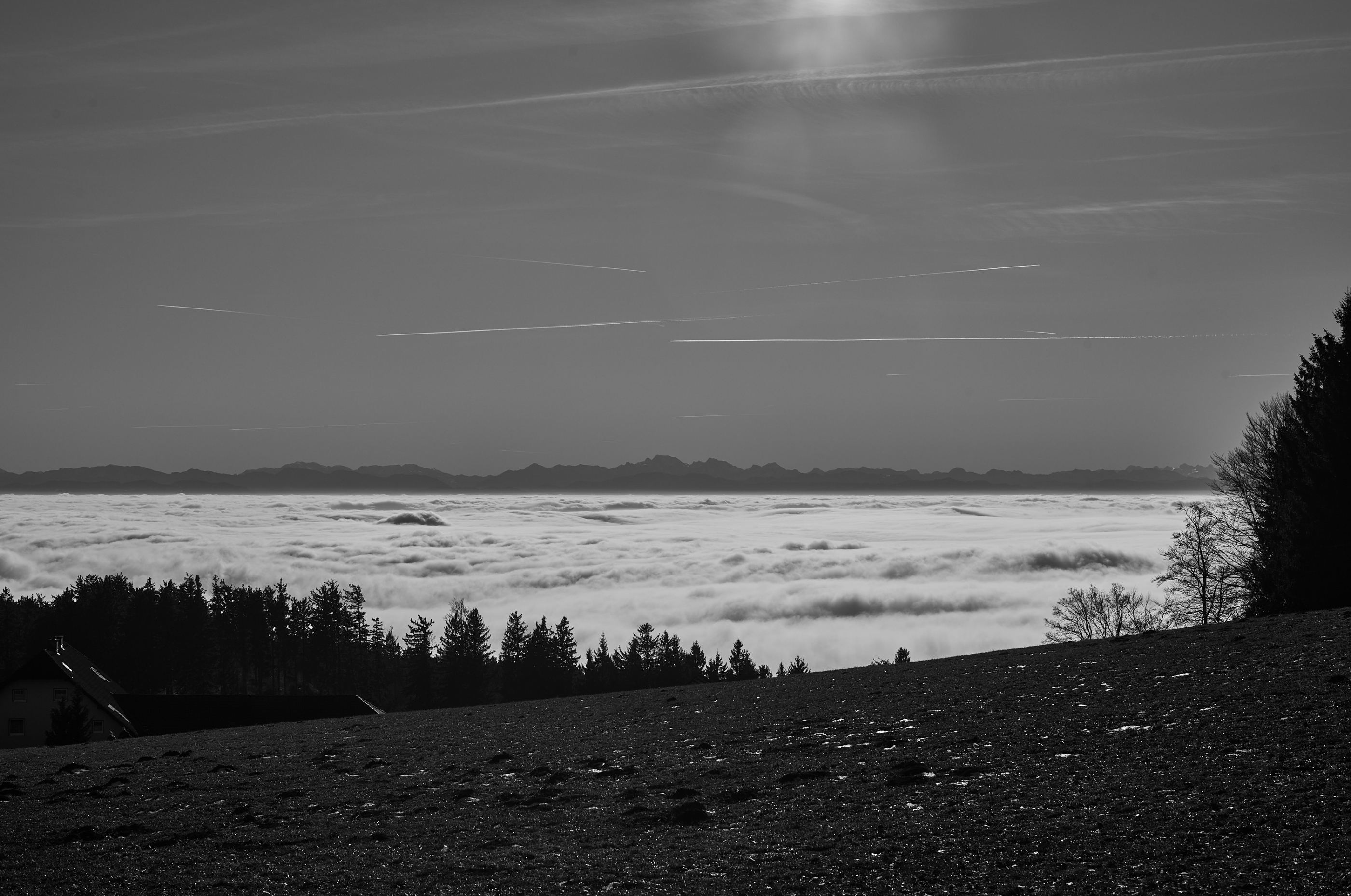 LEICA M11 Monochrom L1003136