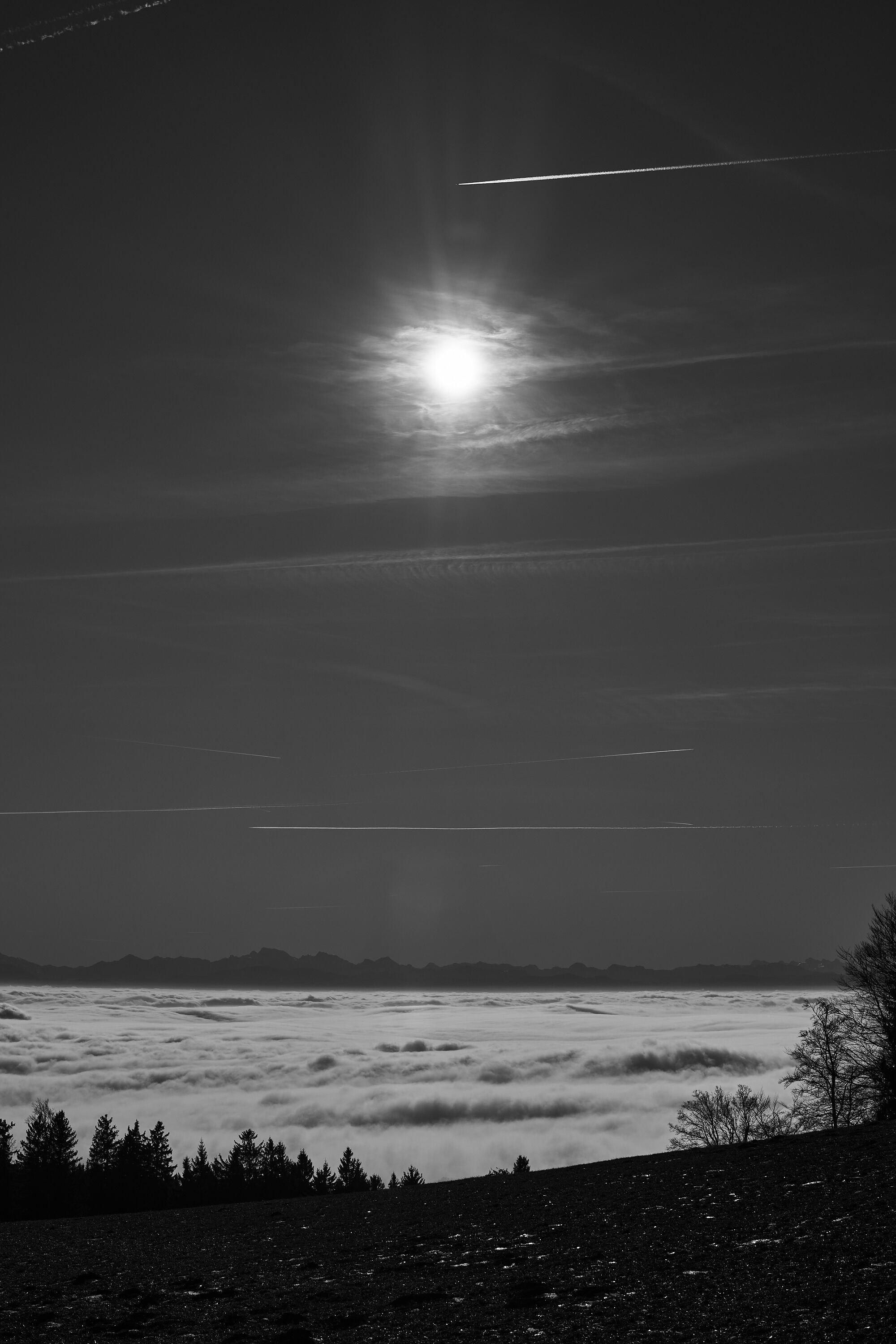 LEICA M11 Monochrom L1003137