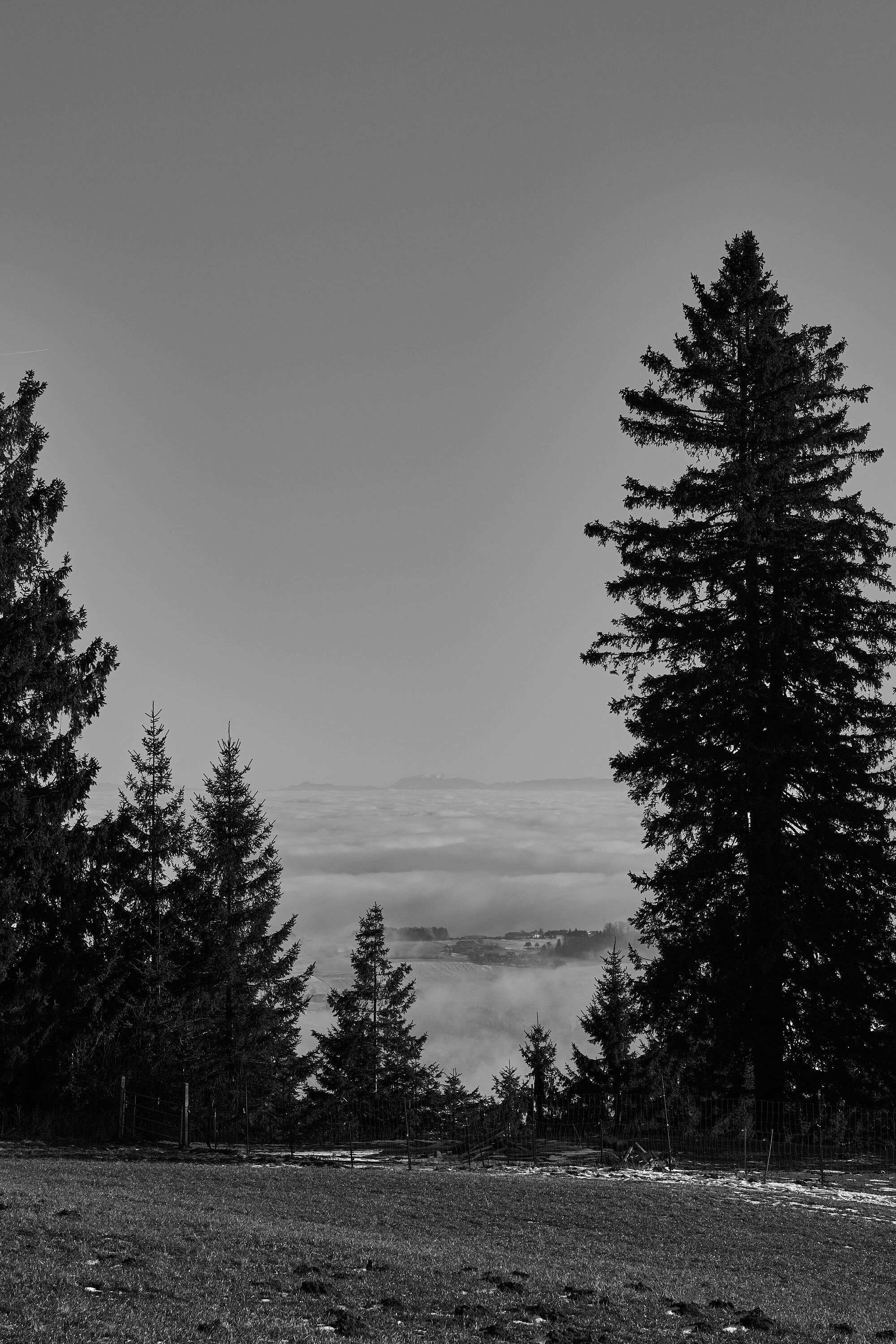 LEICA M11 Monochrom L1003139