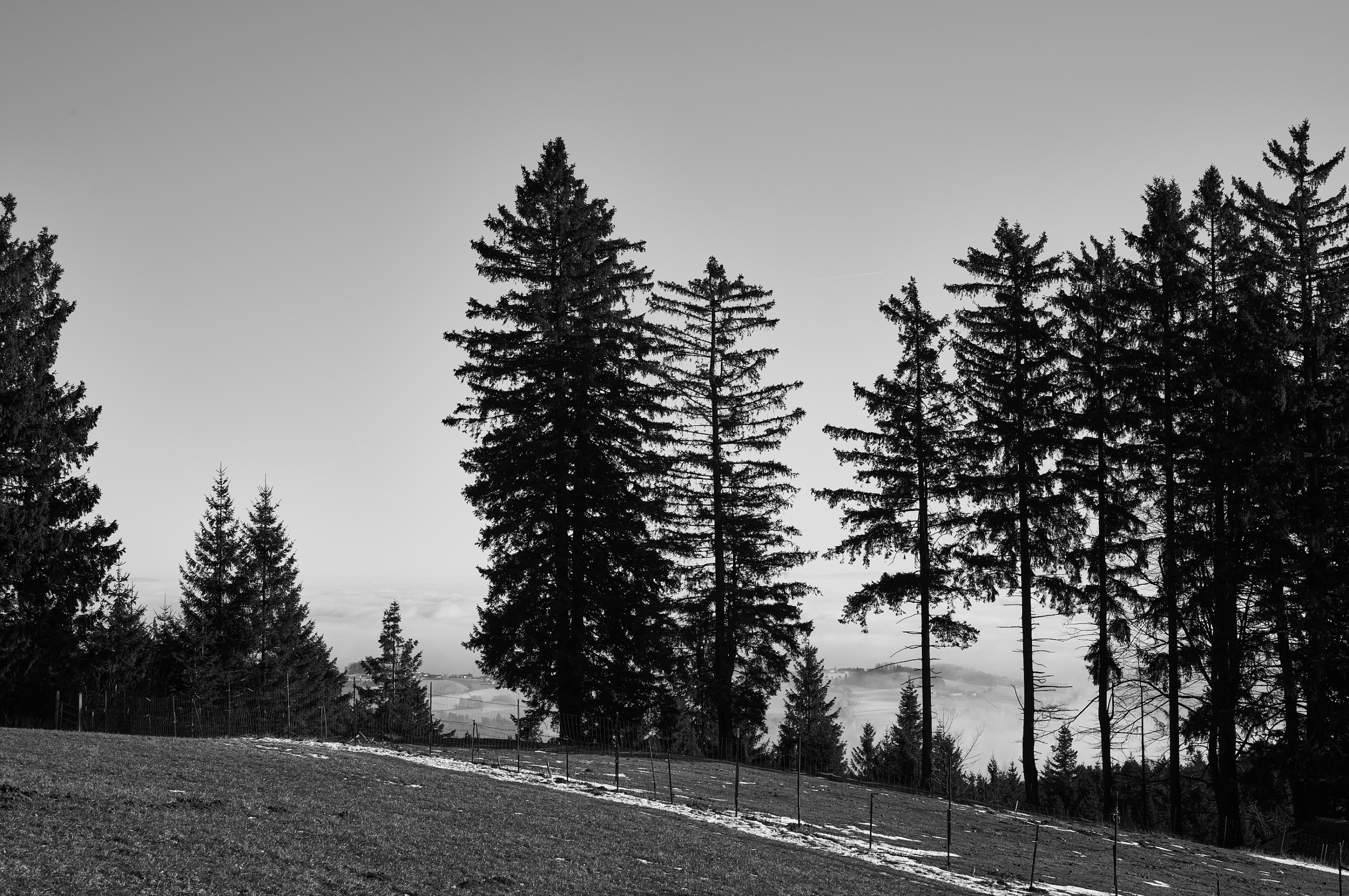 LEICA M11 Monochrom L1003141
