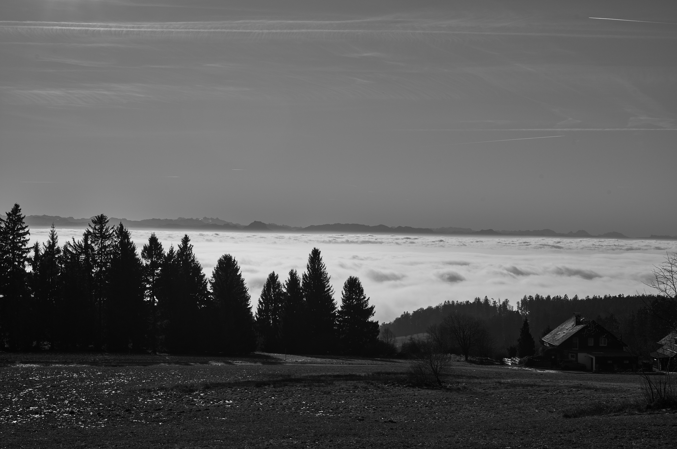LEICA M11 Monochrom L1003146