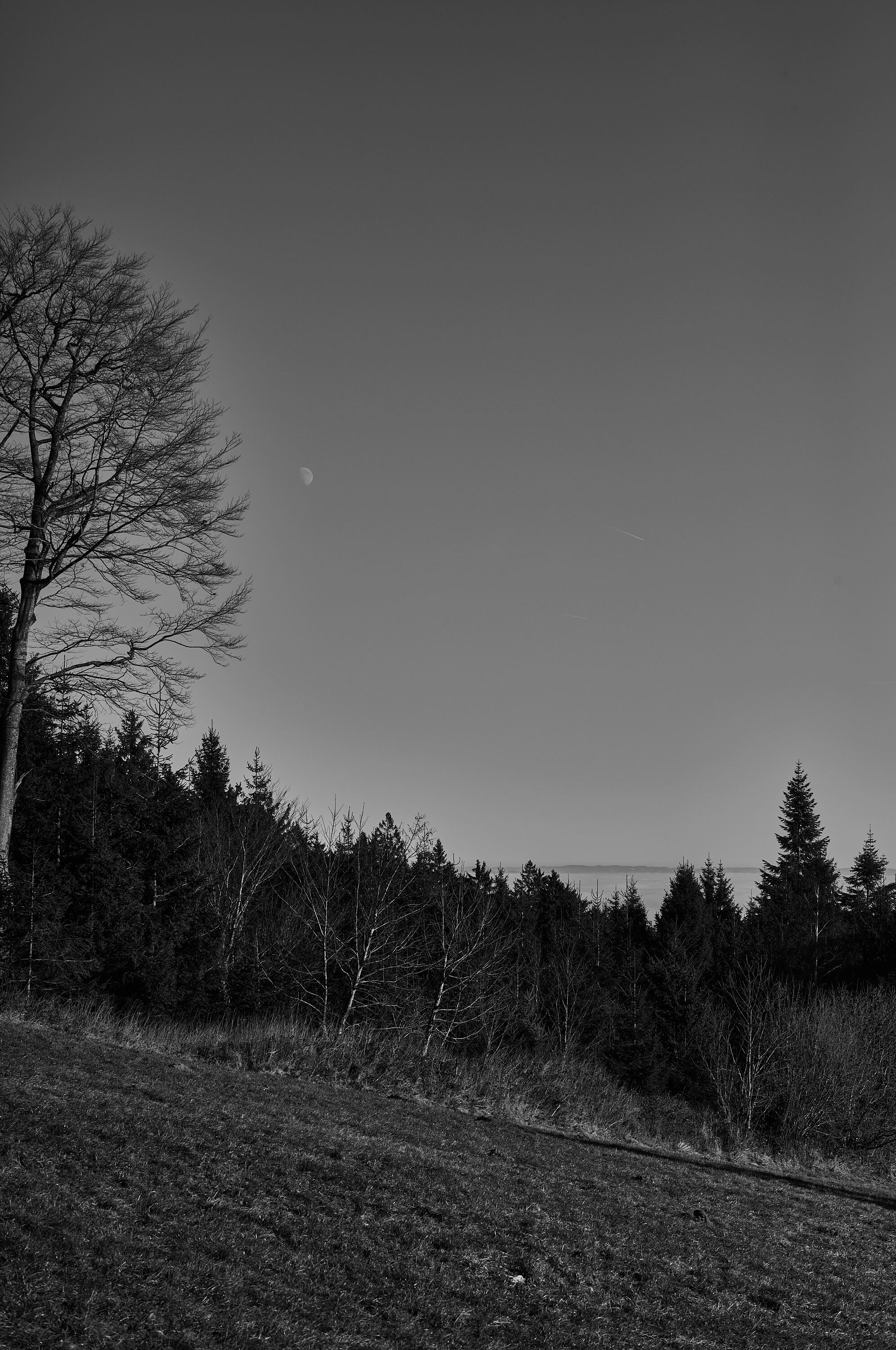 LEICA M11 Monochrom L1003147