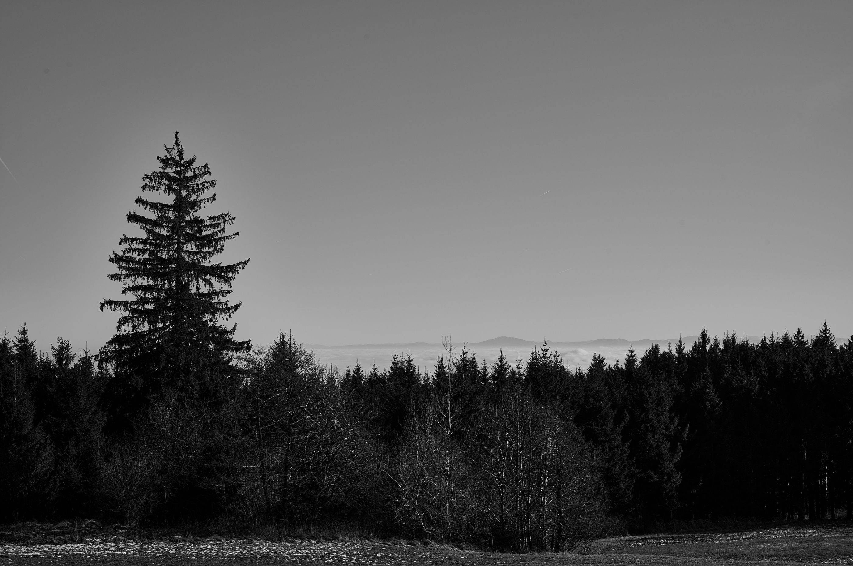 LEICA M11 Monochrom L1003148