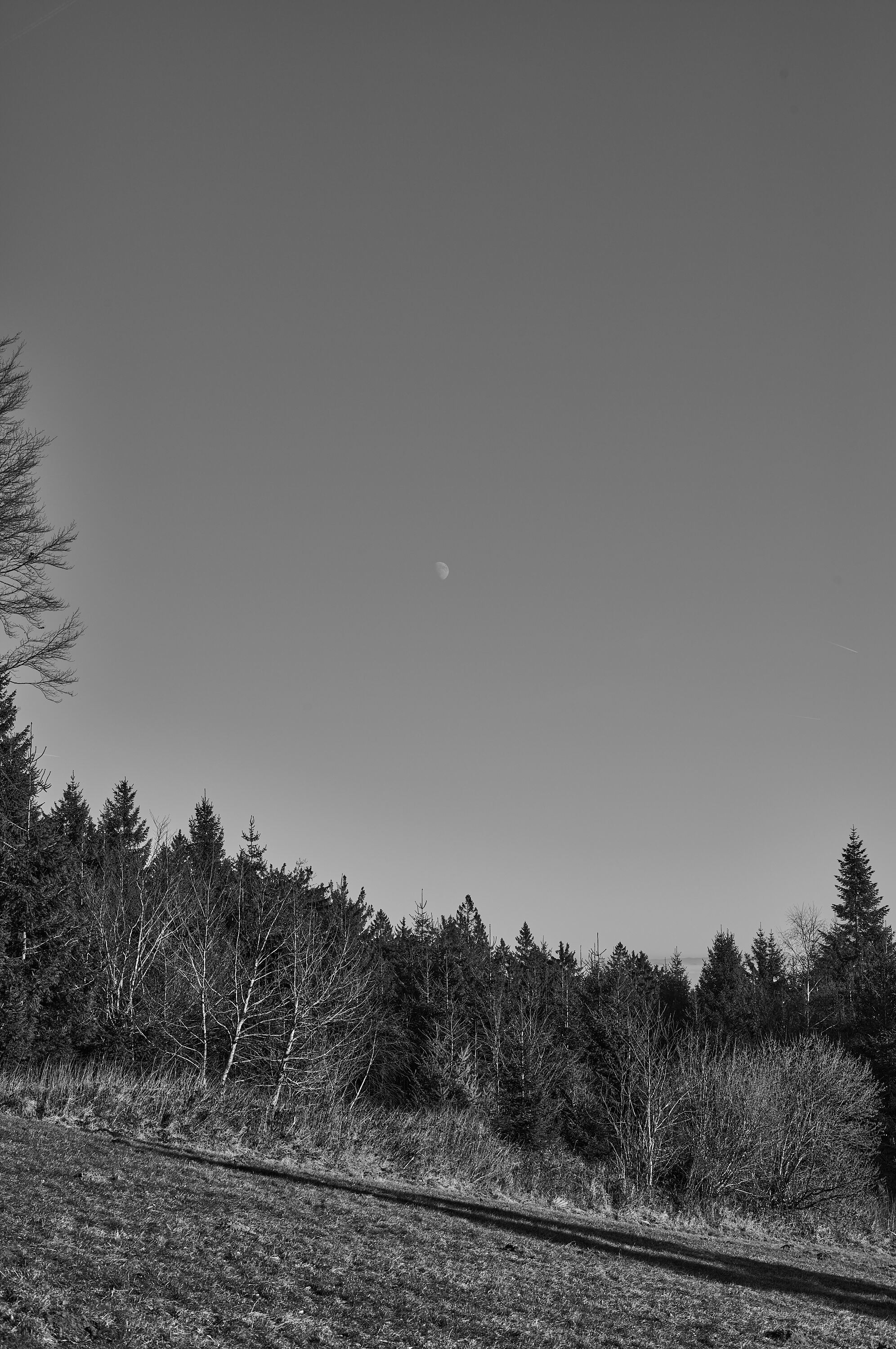LEICA M11 Monochrom L1003149
