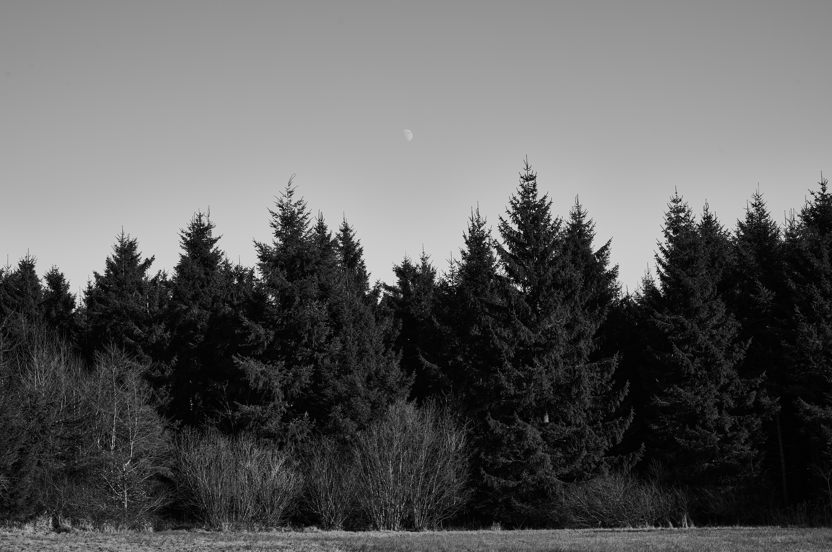 LEICA M11 Monochrom L1003151