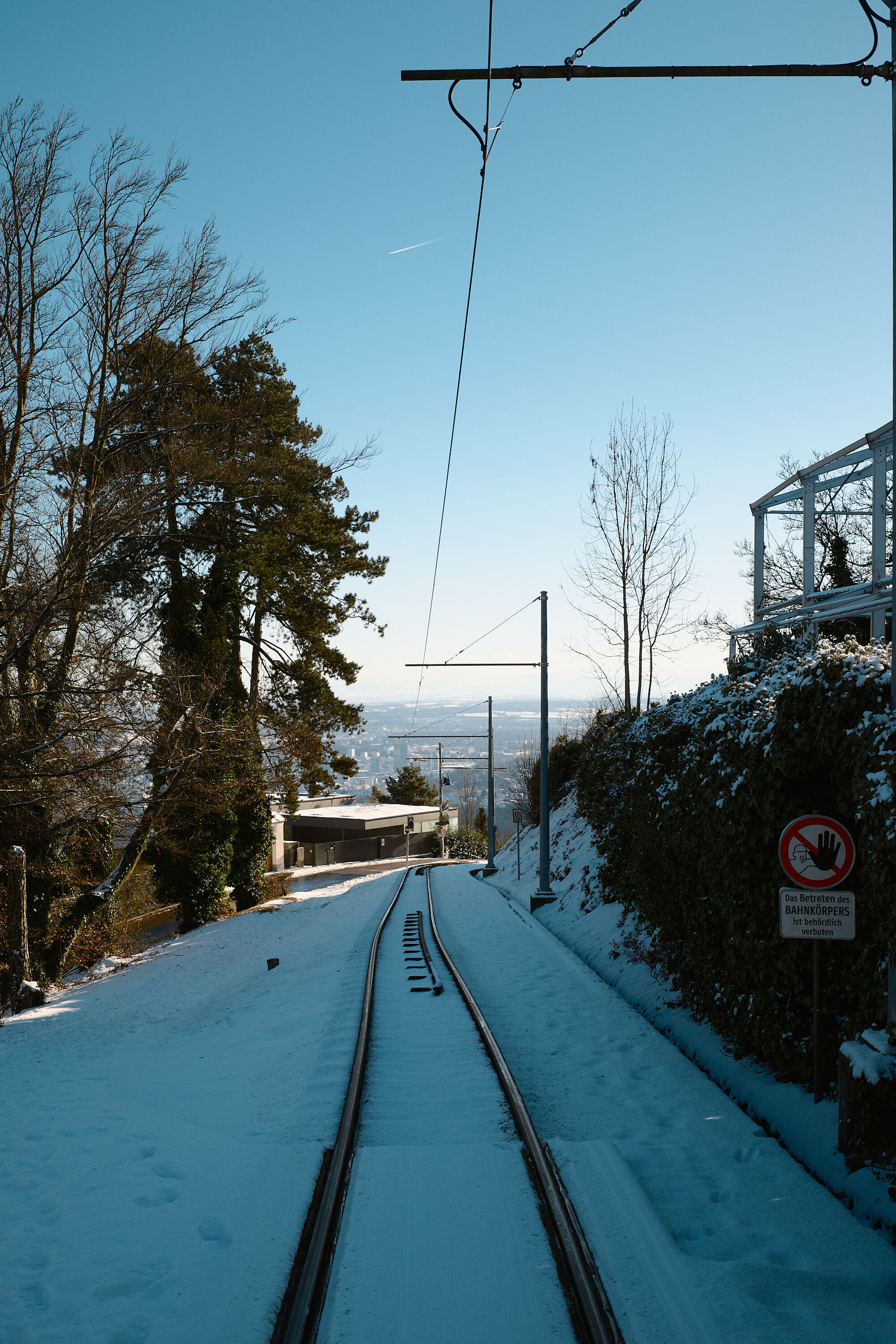 LEICA M11 P L1006262