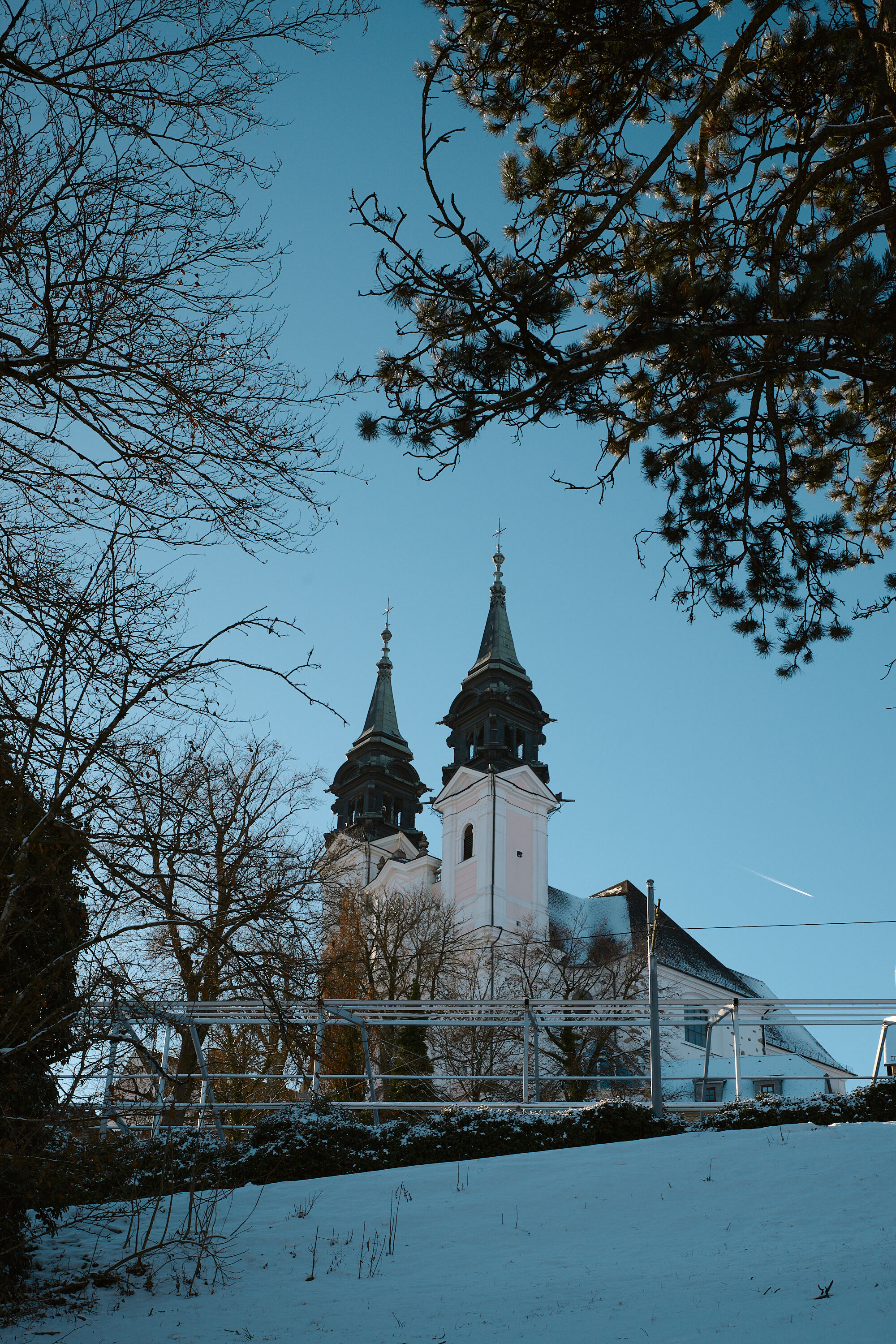 LEICA M11 P L1006264