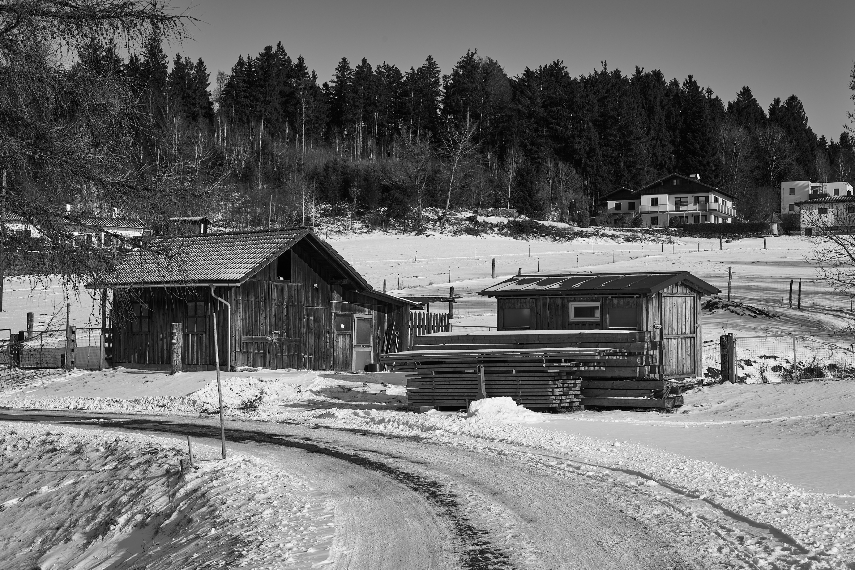 LEICA M11 Monochrom L1003206