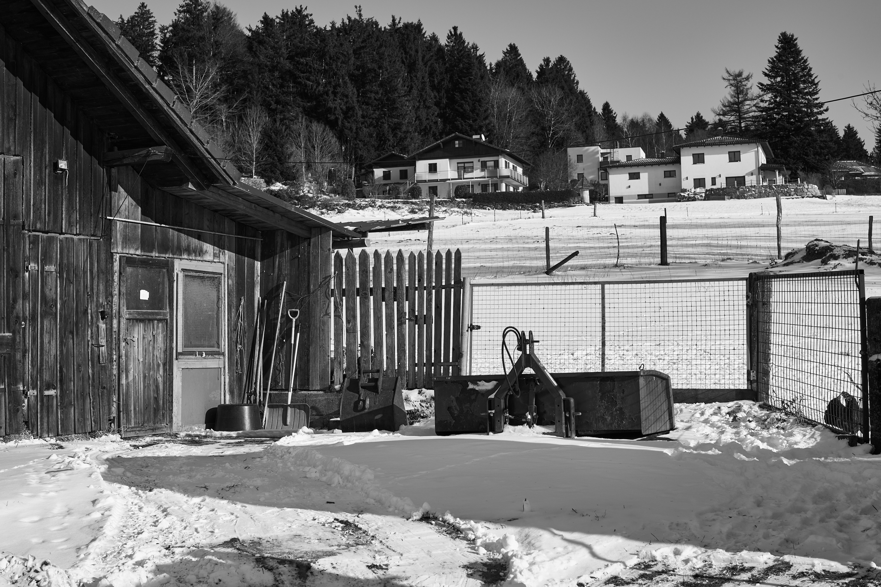 LEICA M11 Monochrom L1003209