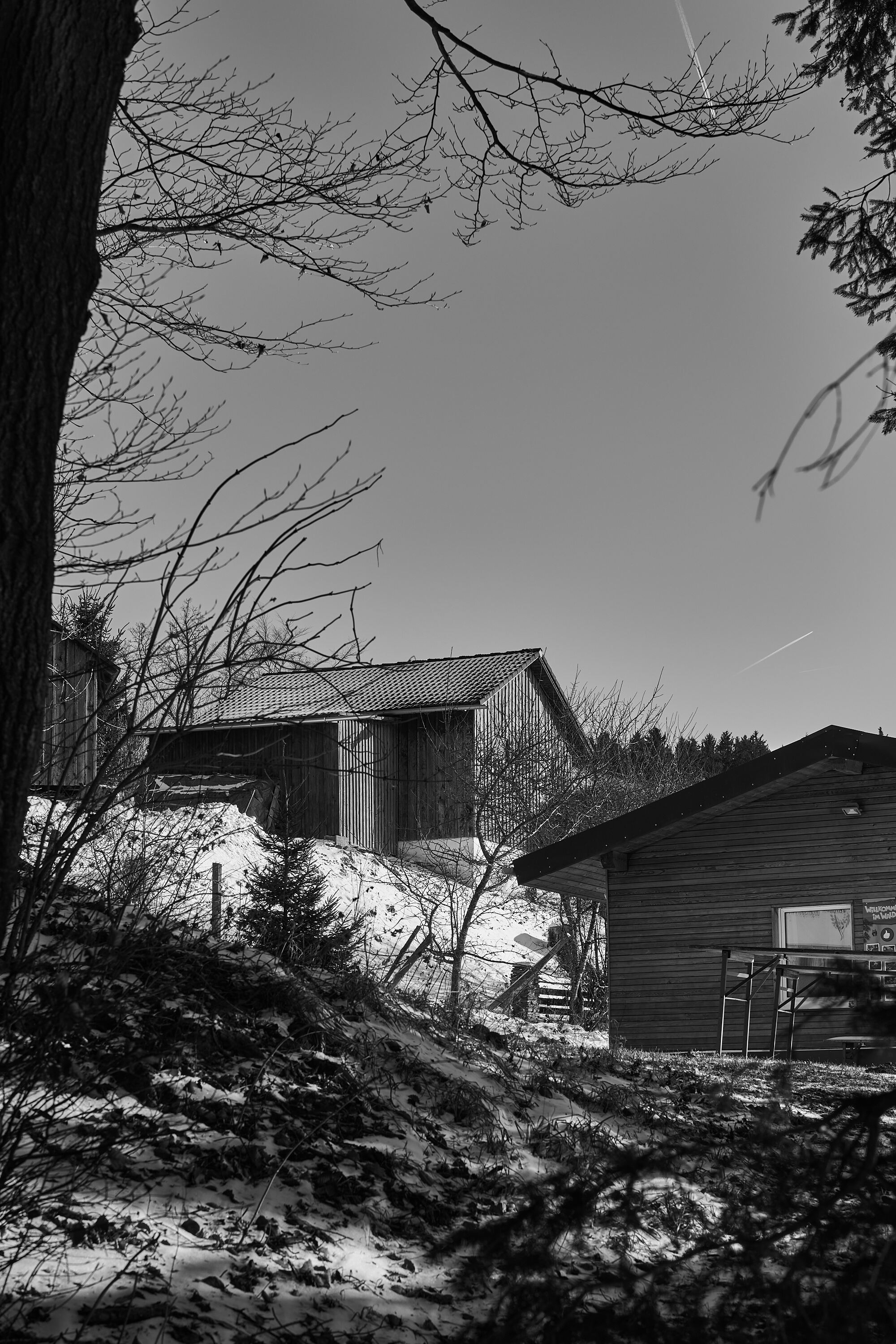 LEICA M11 Monochrom L1003211