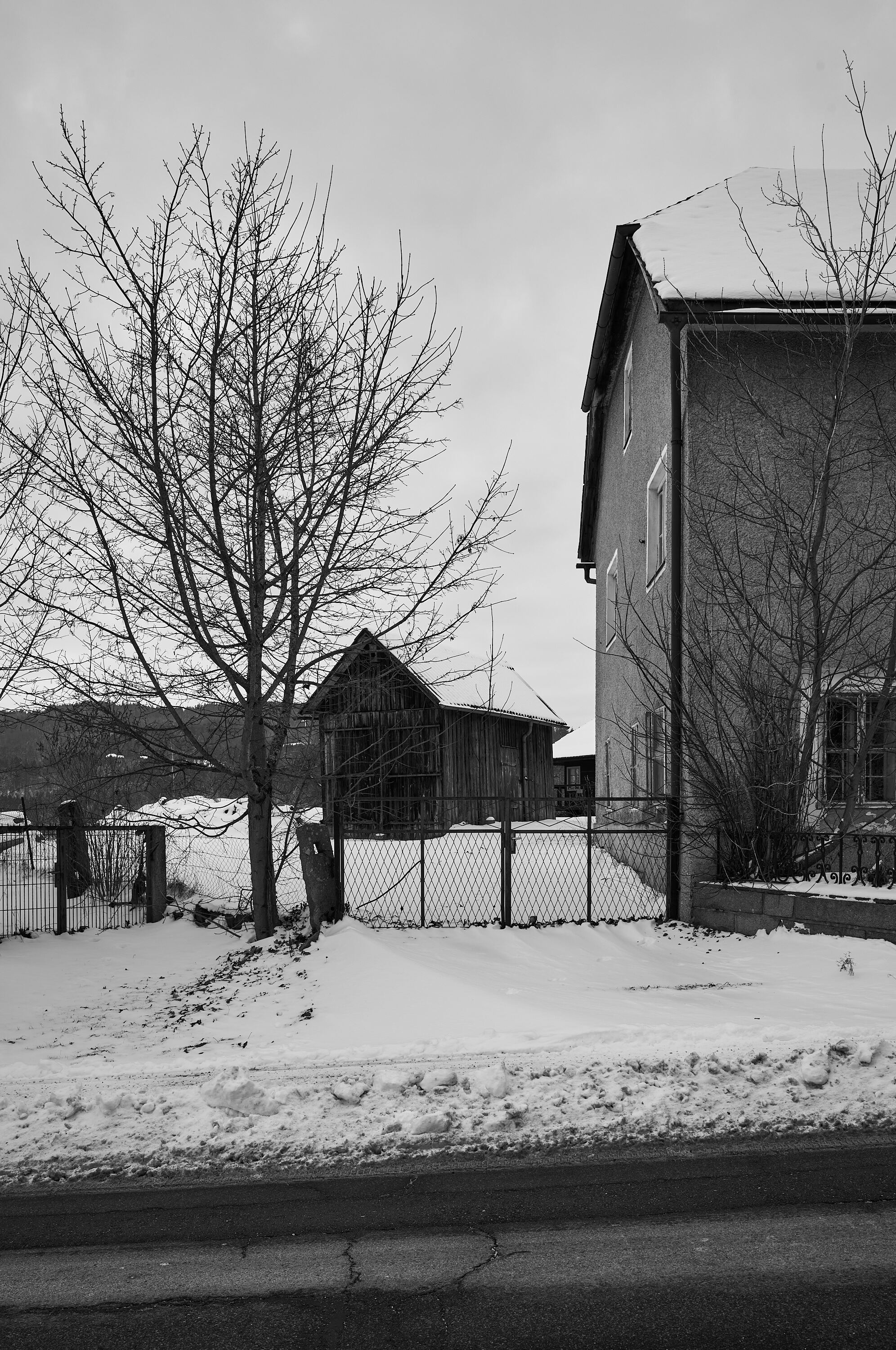 LEICA M11 Monochrom L1003245