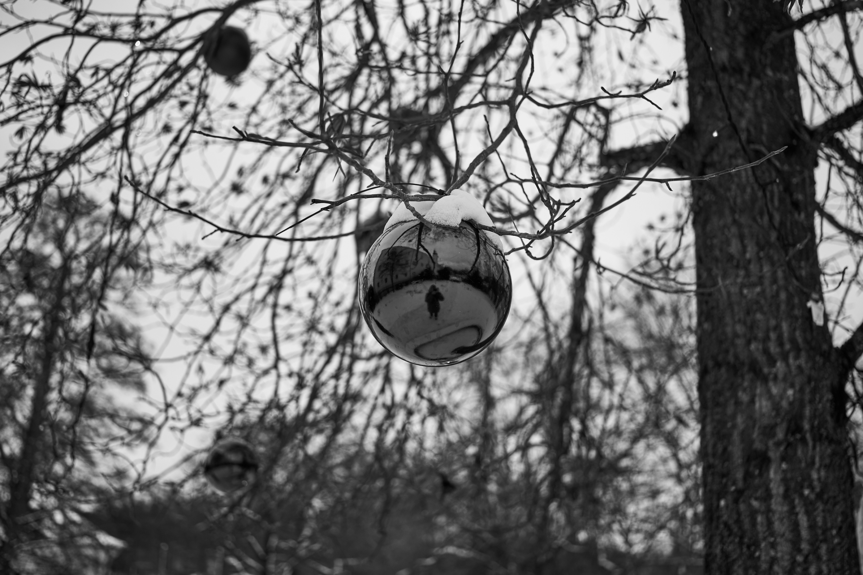 LEICA M11 Monochrom L1003265