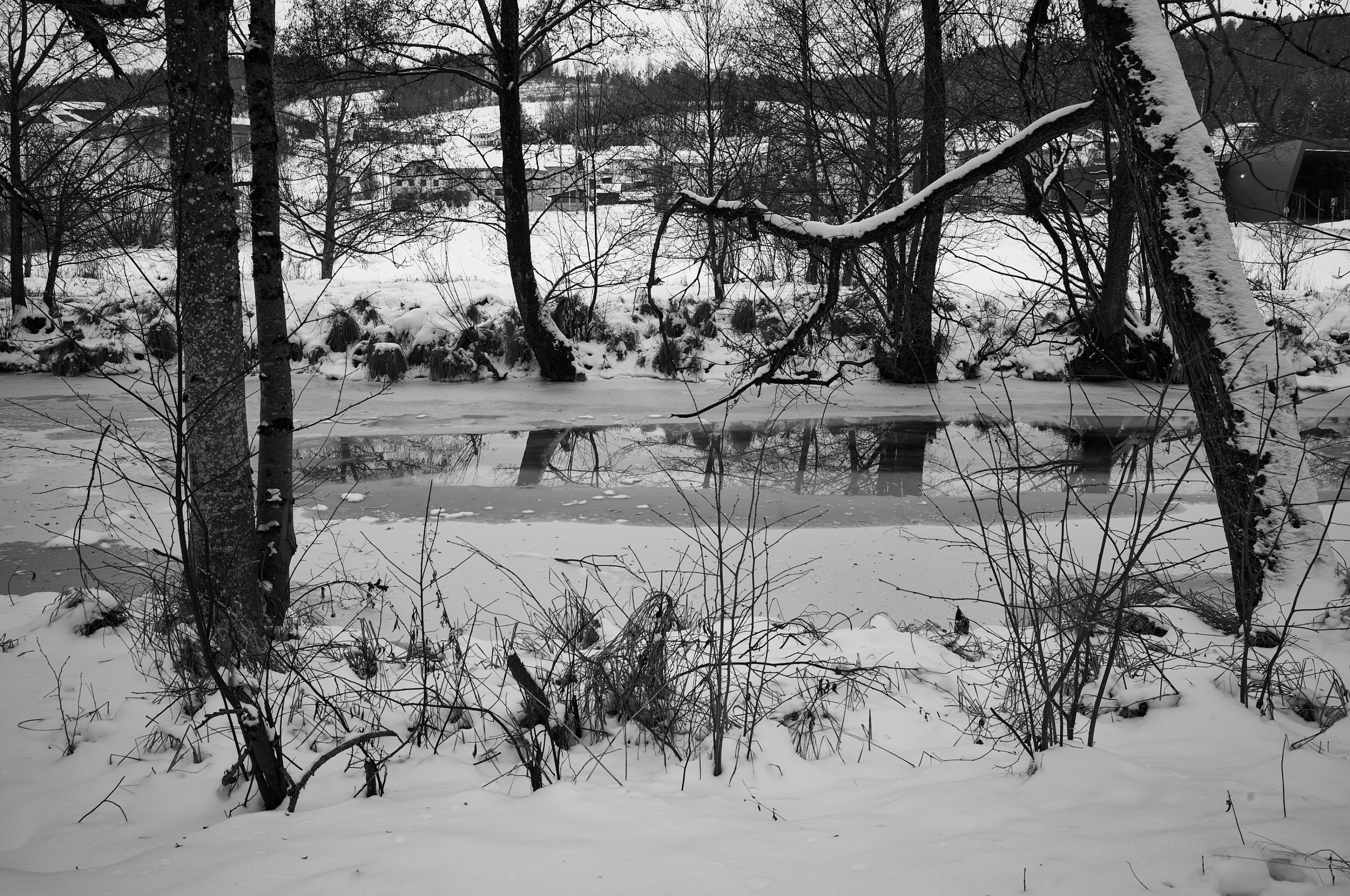 LEICA M11 Monochrom L1003271