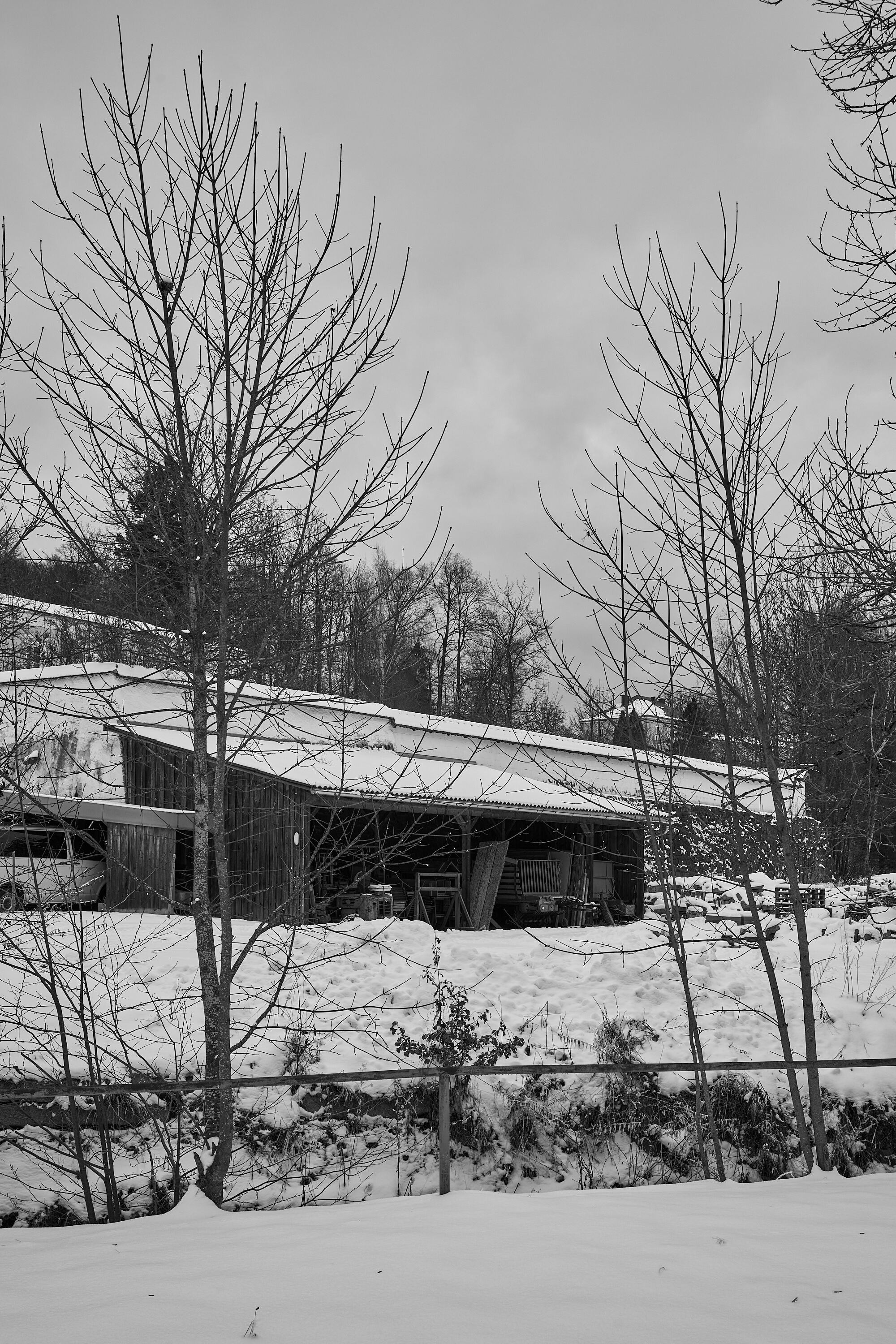 LEICA M11 Monochrom L1003275