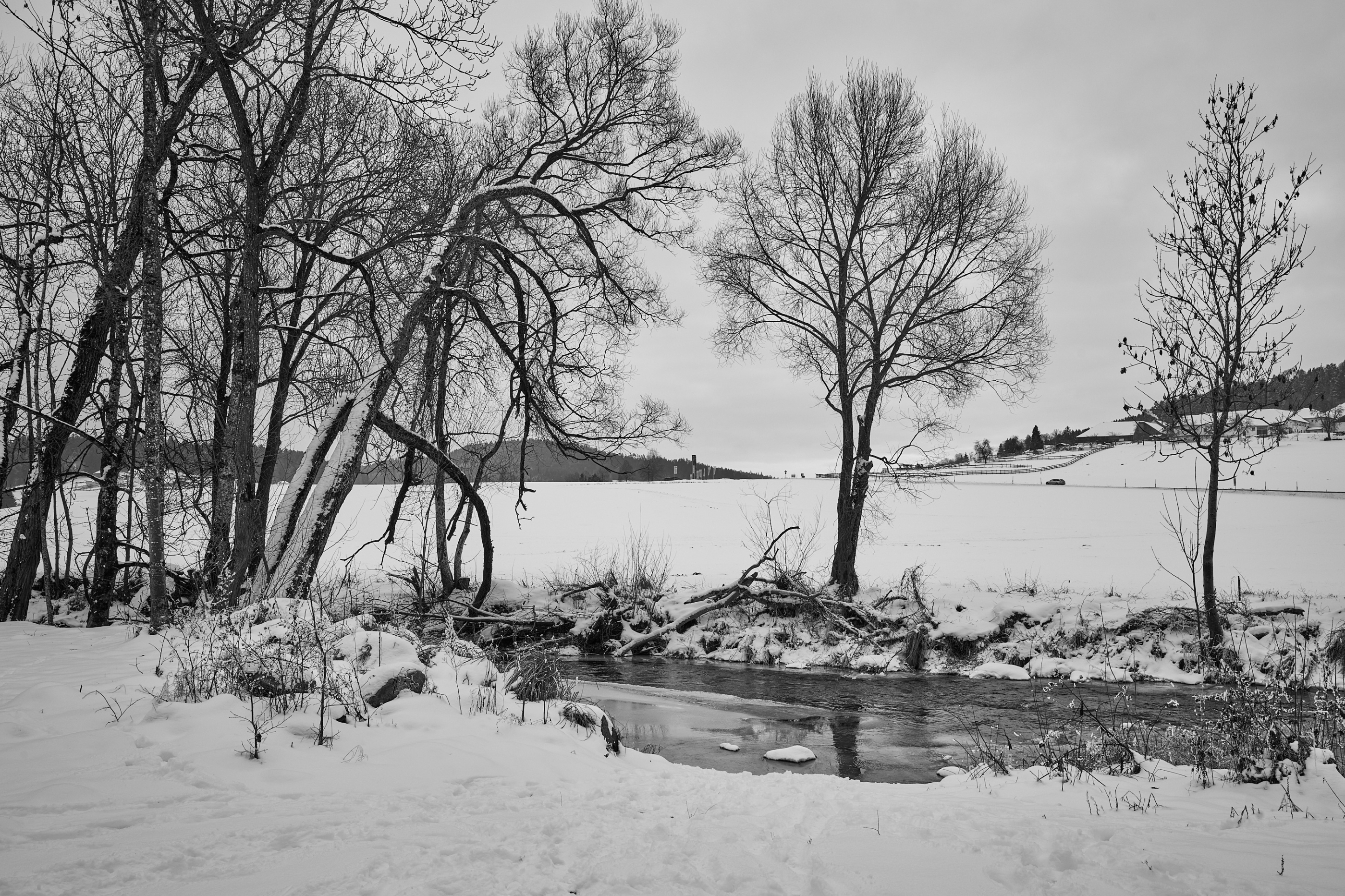 LEICA M11 Monochrom L1003277
