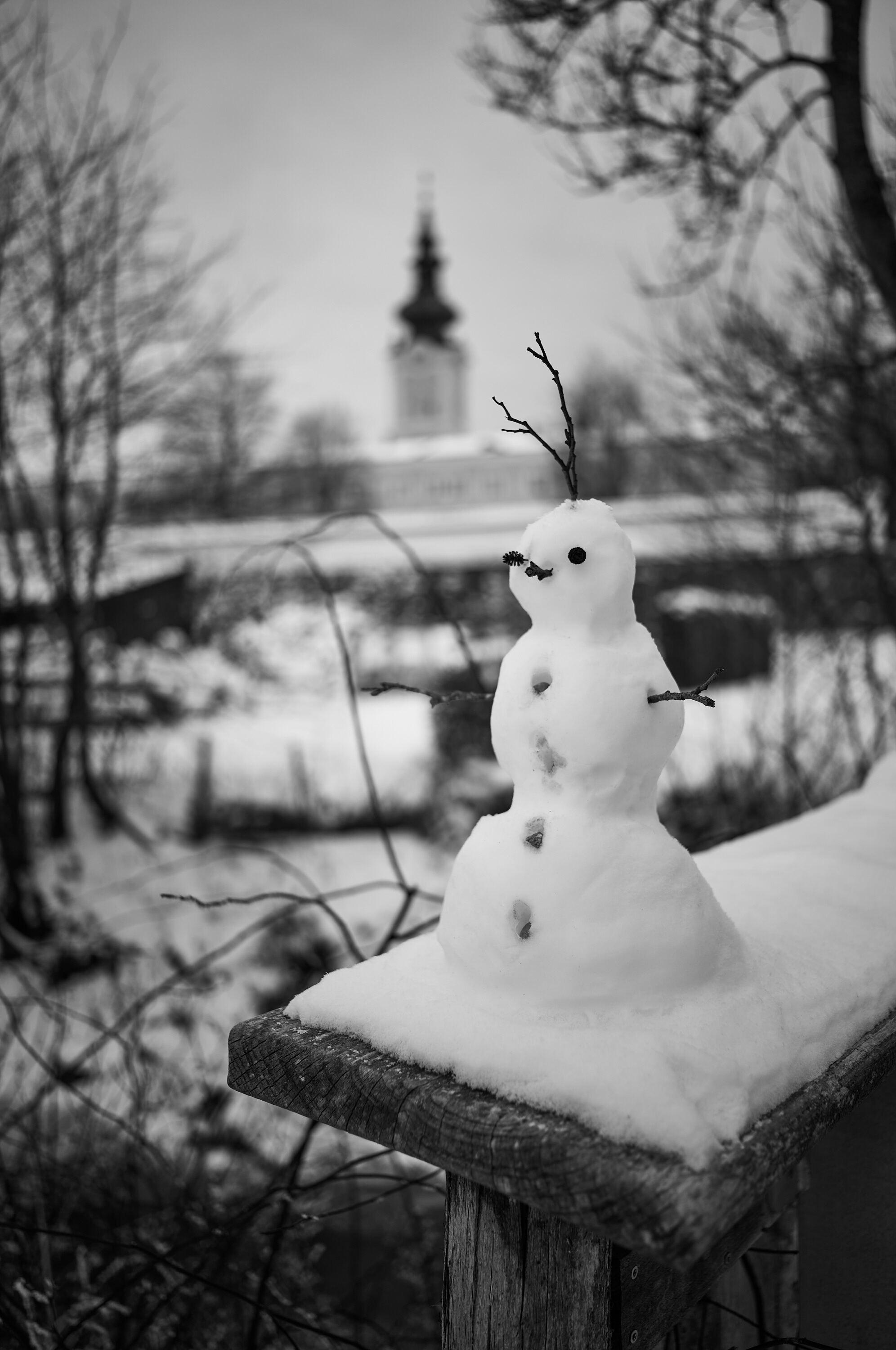 LEICA M11 Monochrom L1003278