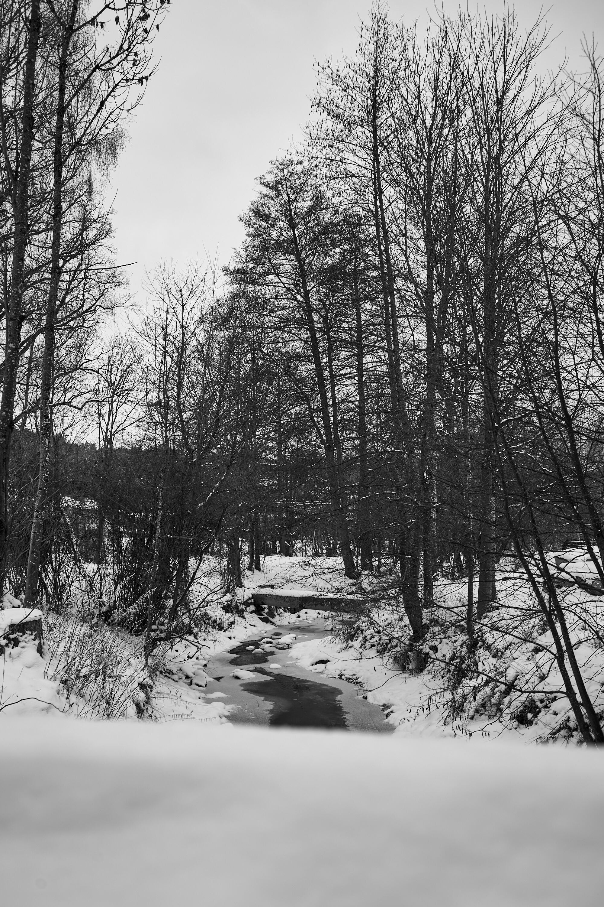 LEICA M11 Monochrom L1003280