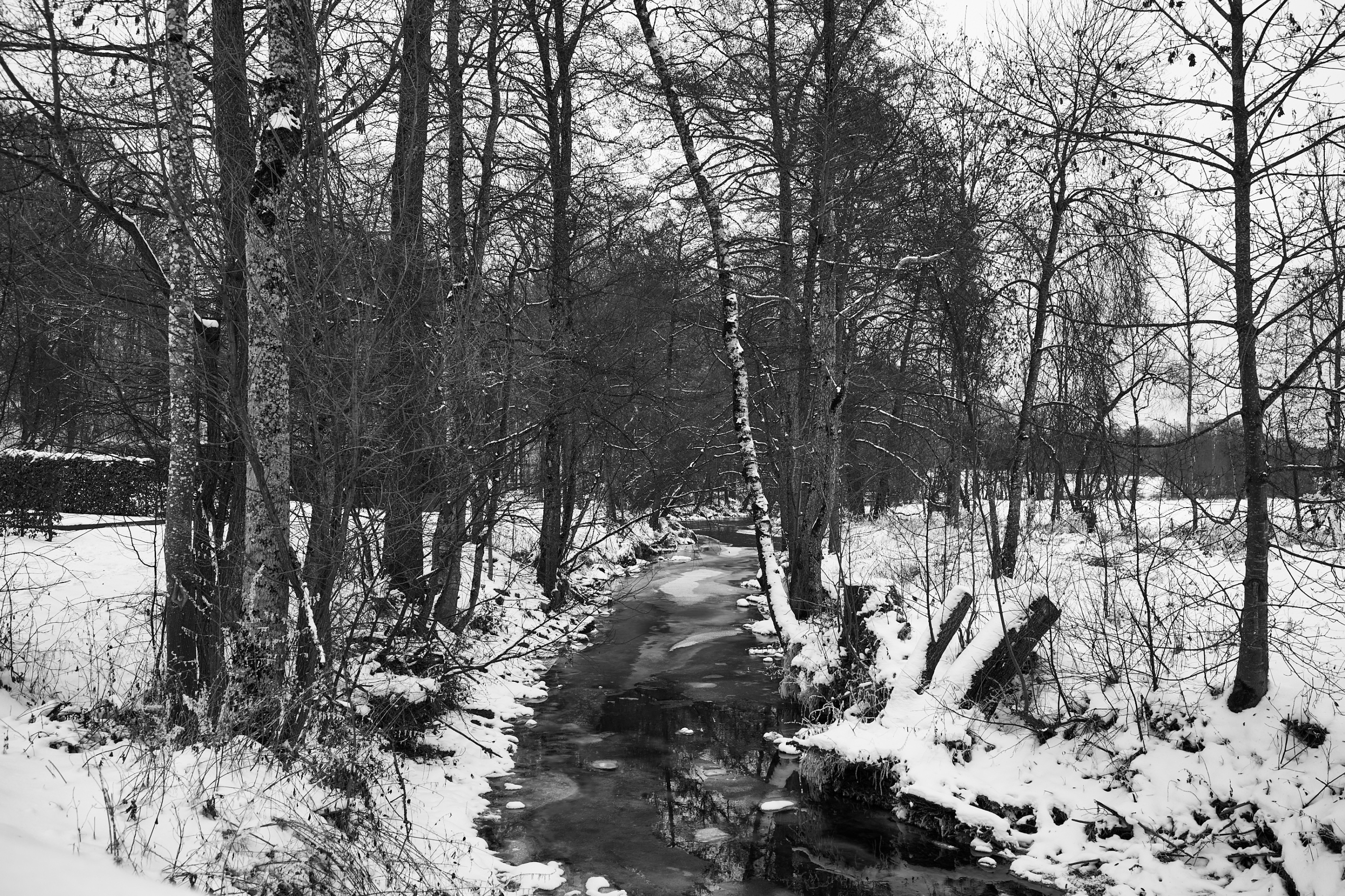 LEICA M11 Monochrom L1003281