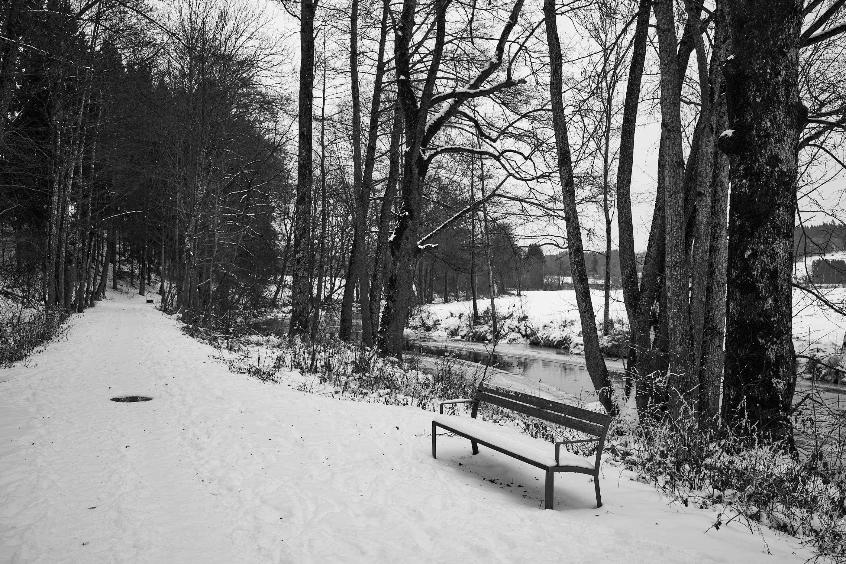 LEICA M11 Monochrom L1003286