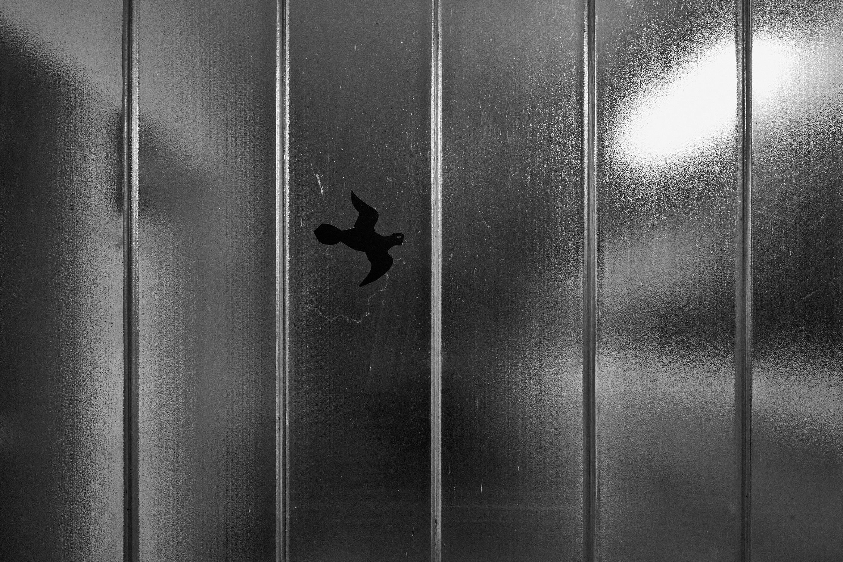 LEICA M11 Monochrom L1003289