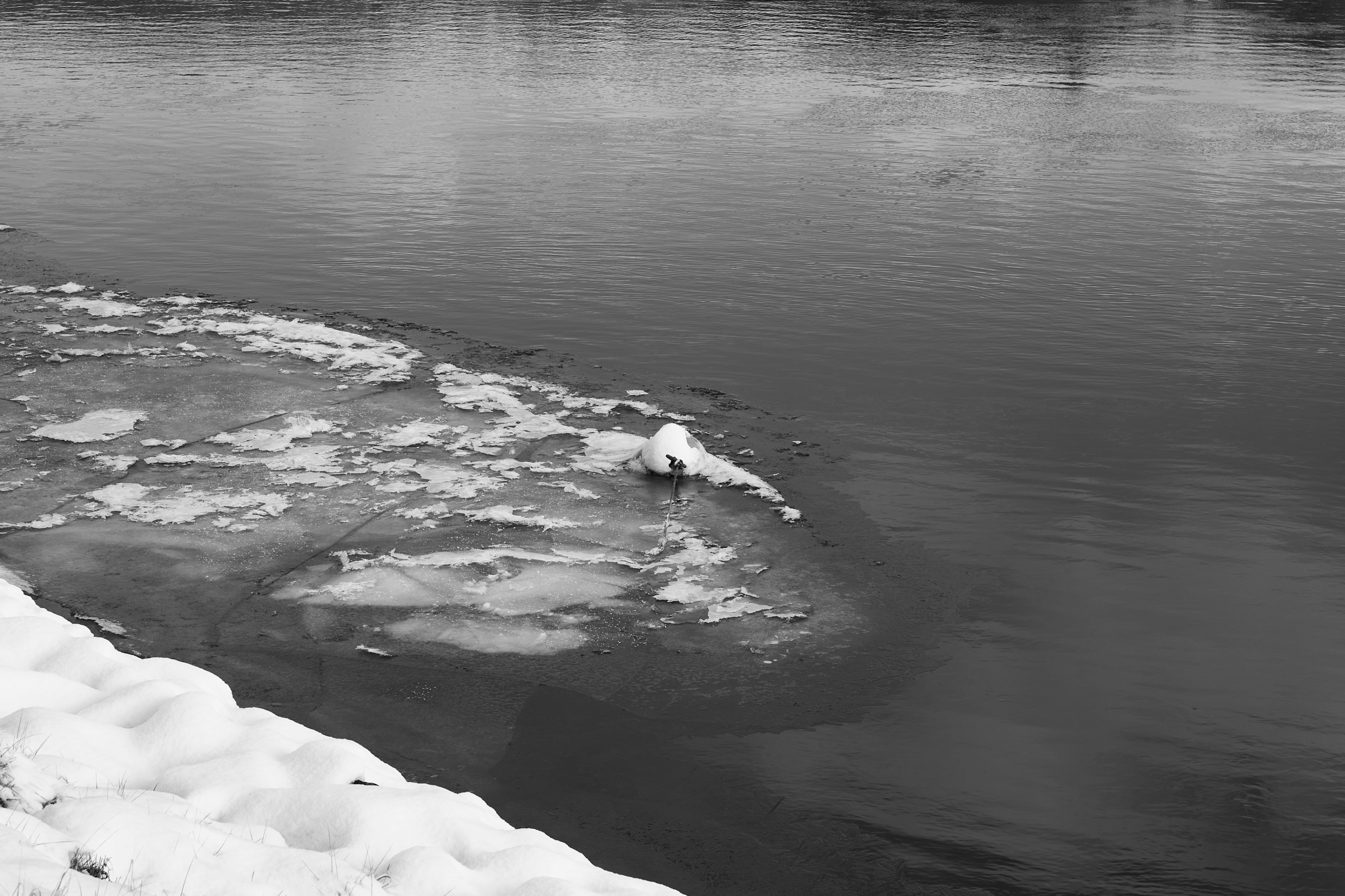 LEICA M11 Monochrom L1003312