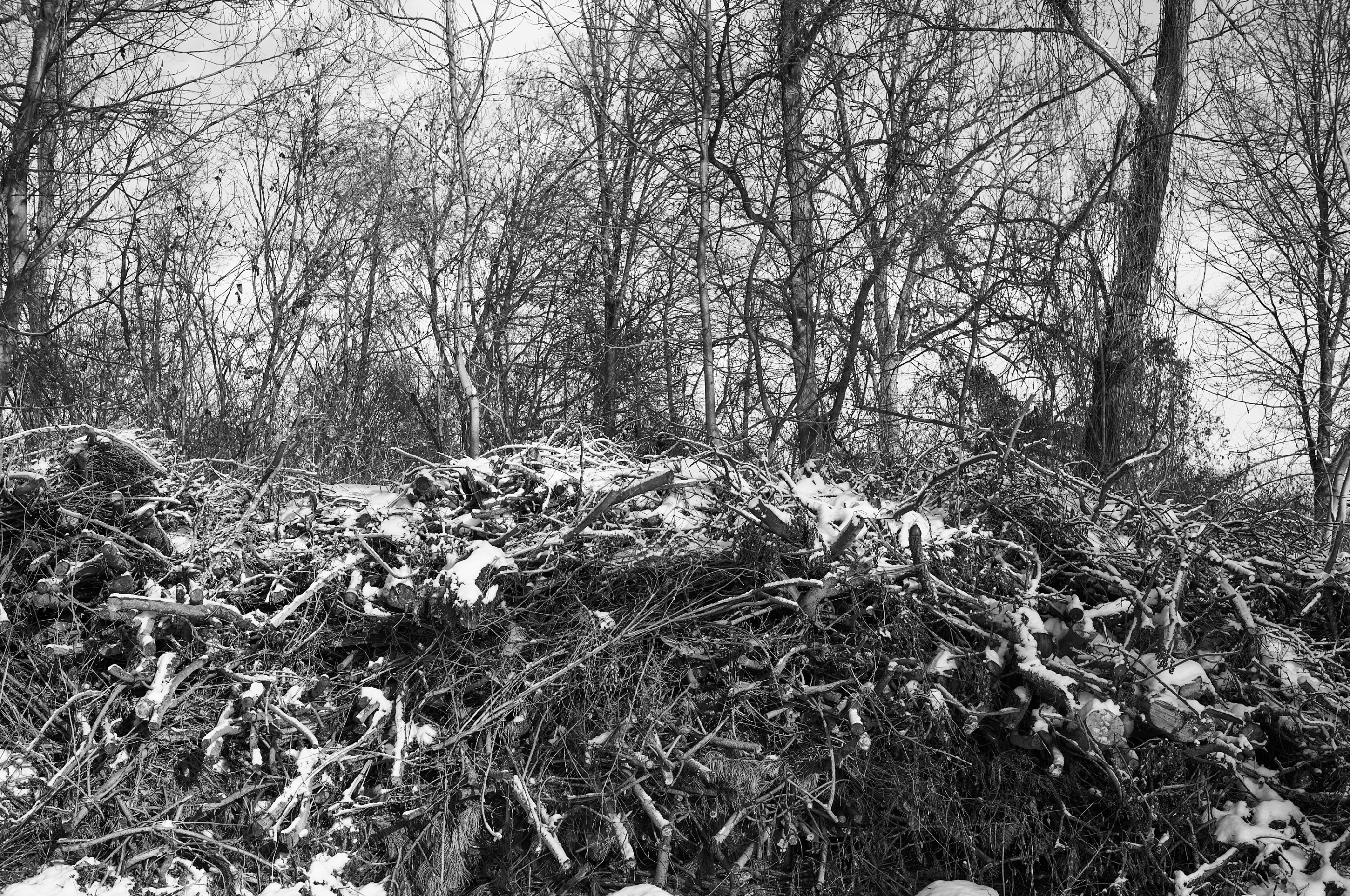 LEICA M11 Monochrom L1003332