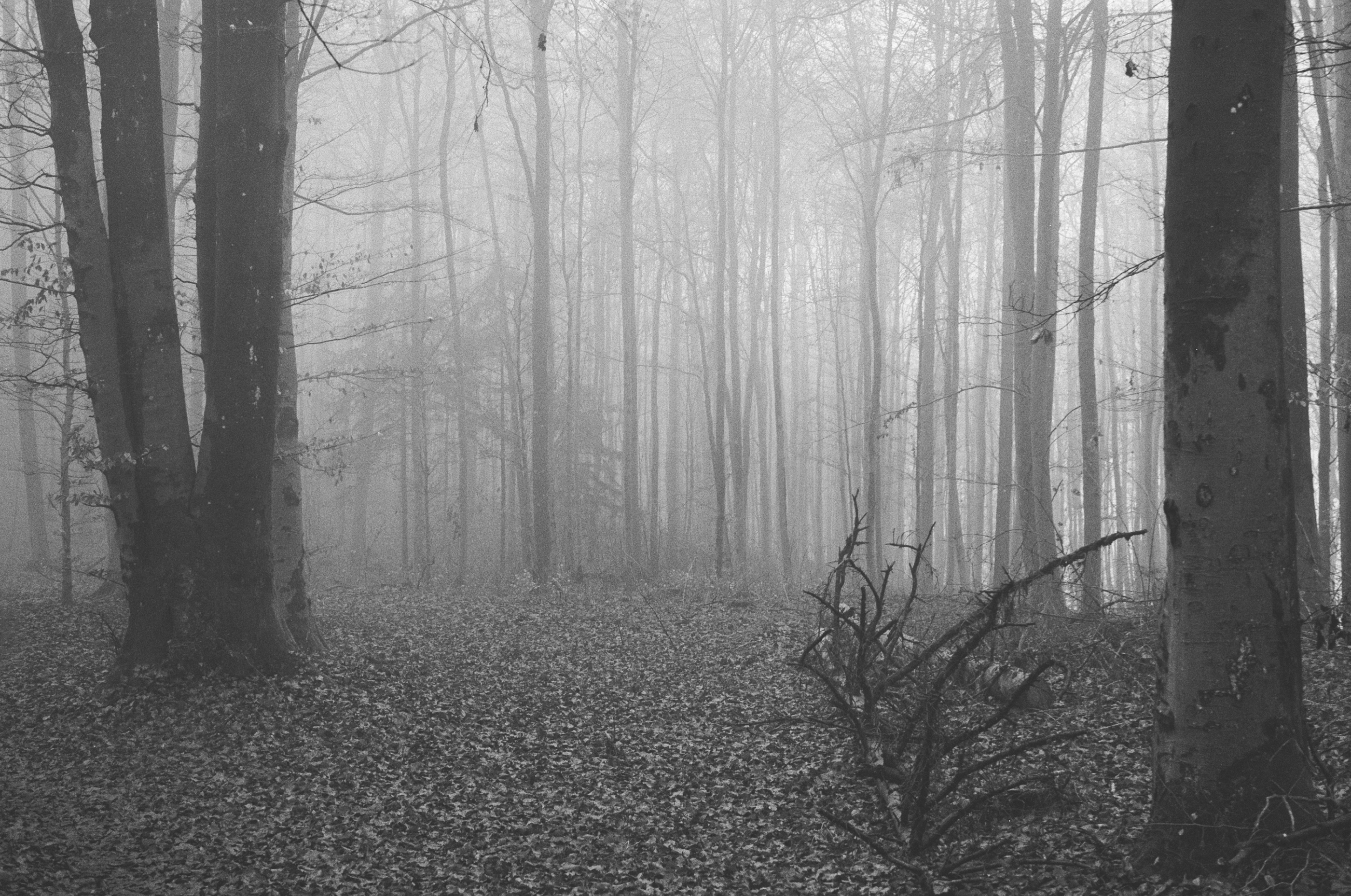 LEICA MP Leica MP 514108010023
