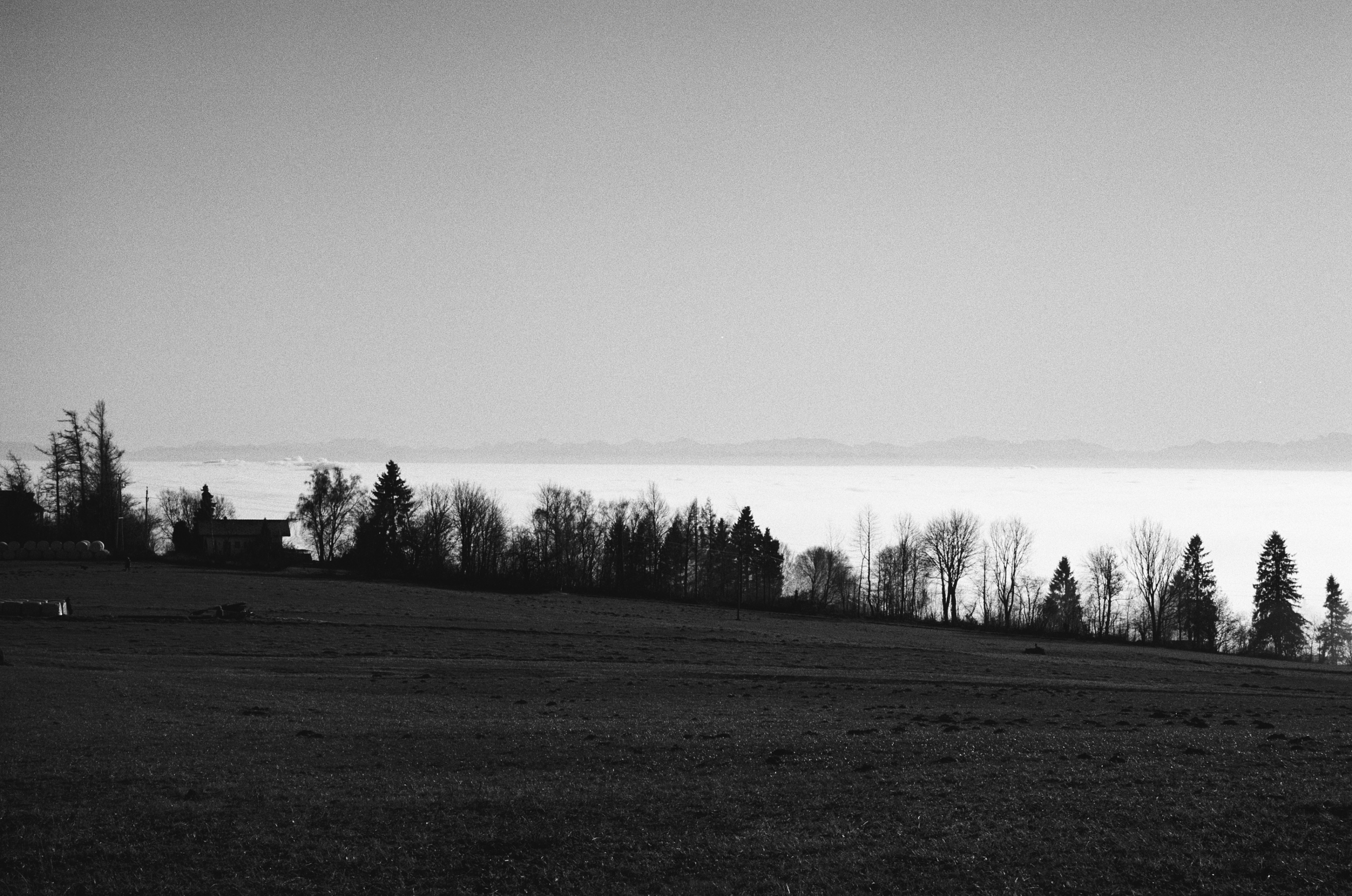 LEICA MP Leica MP 514108010032