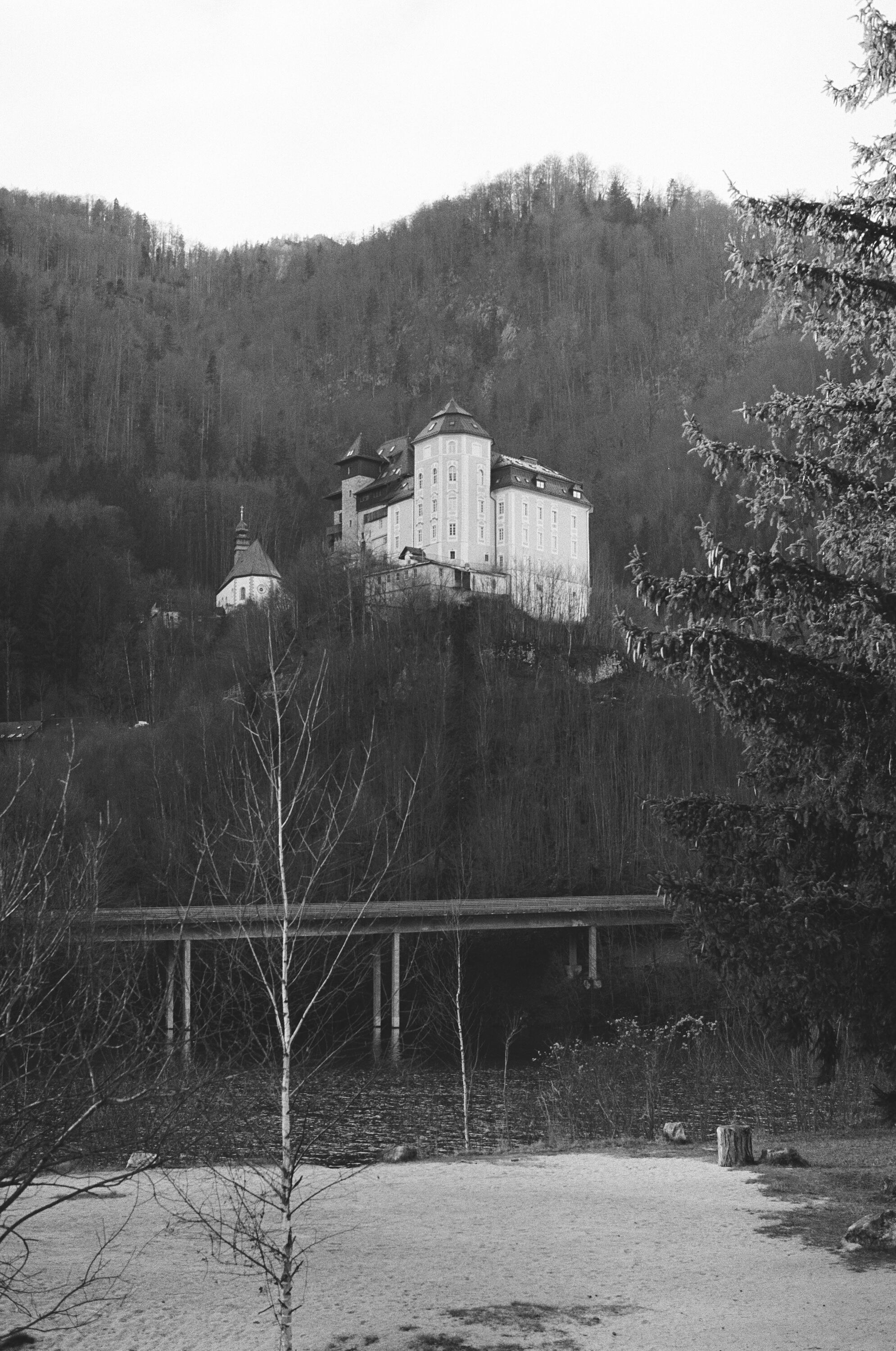 LEICA MP Leica MP 514108020005