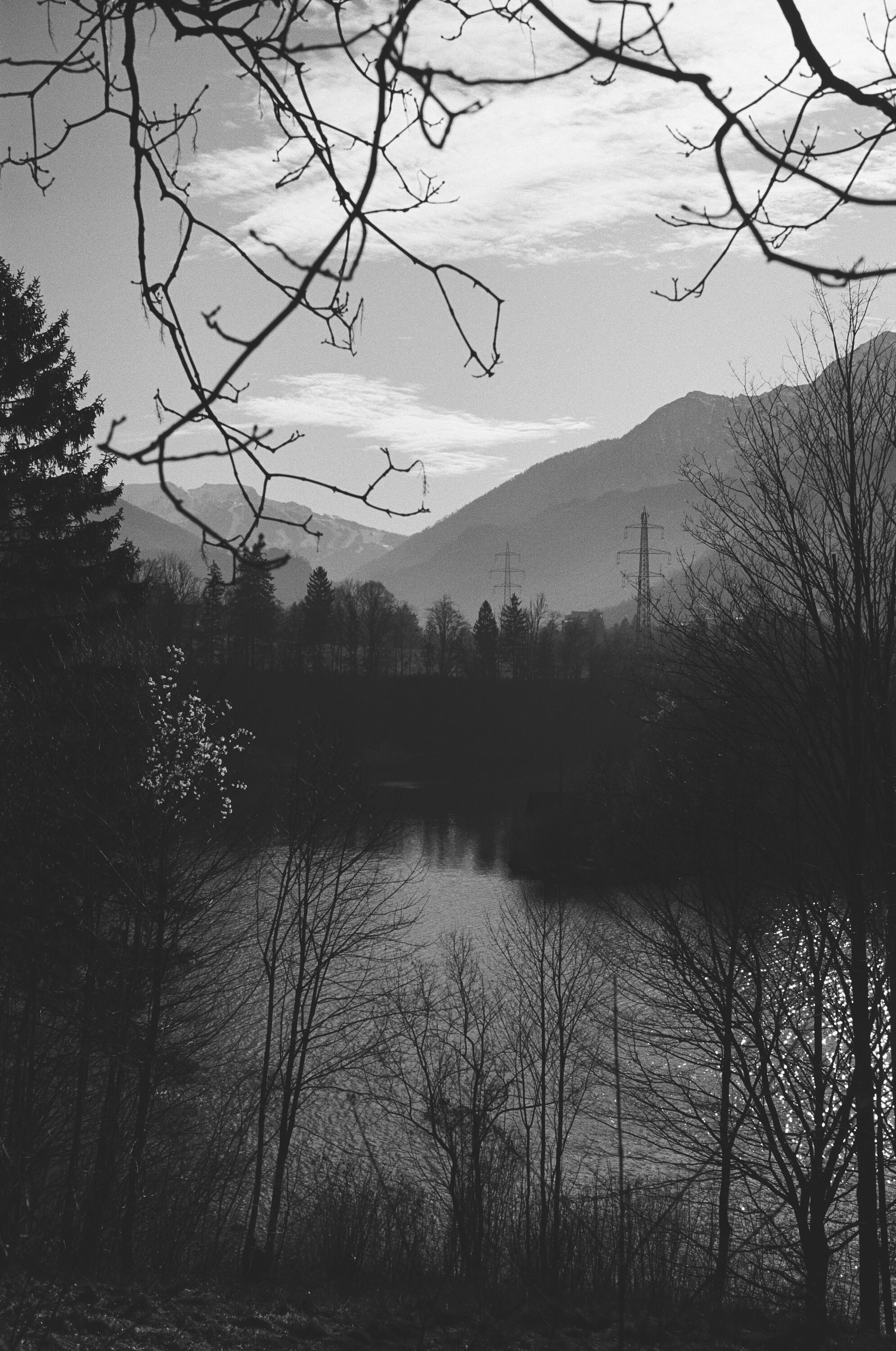 LEICA MP Leica MP 514108020010