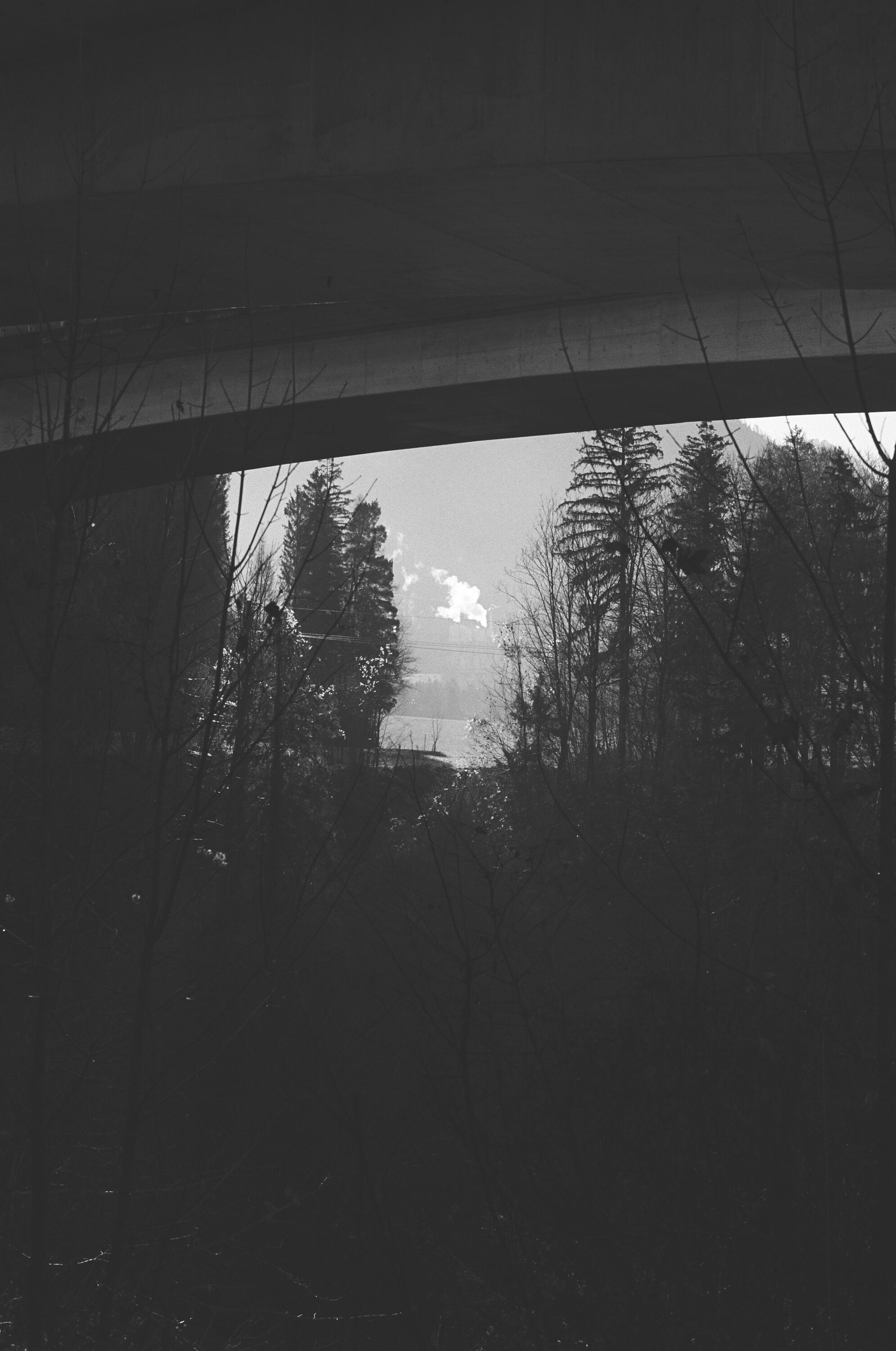 LEICA MP Leica MP 514108020015