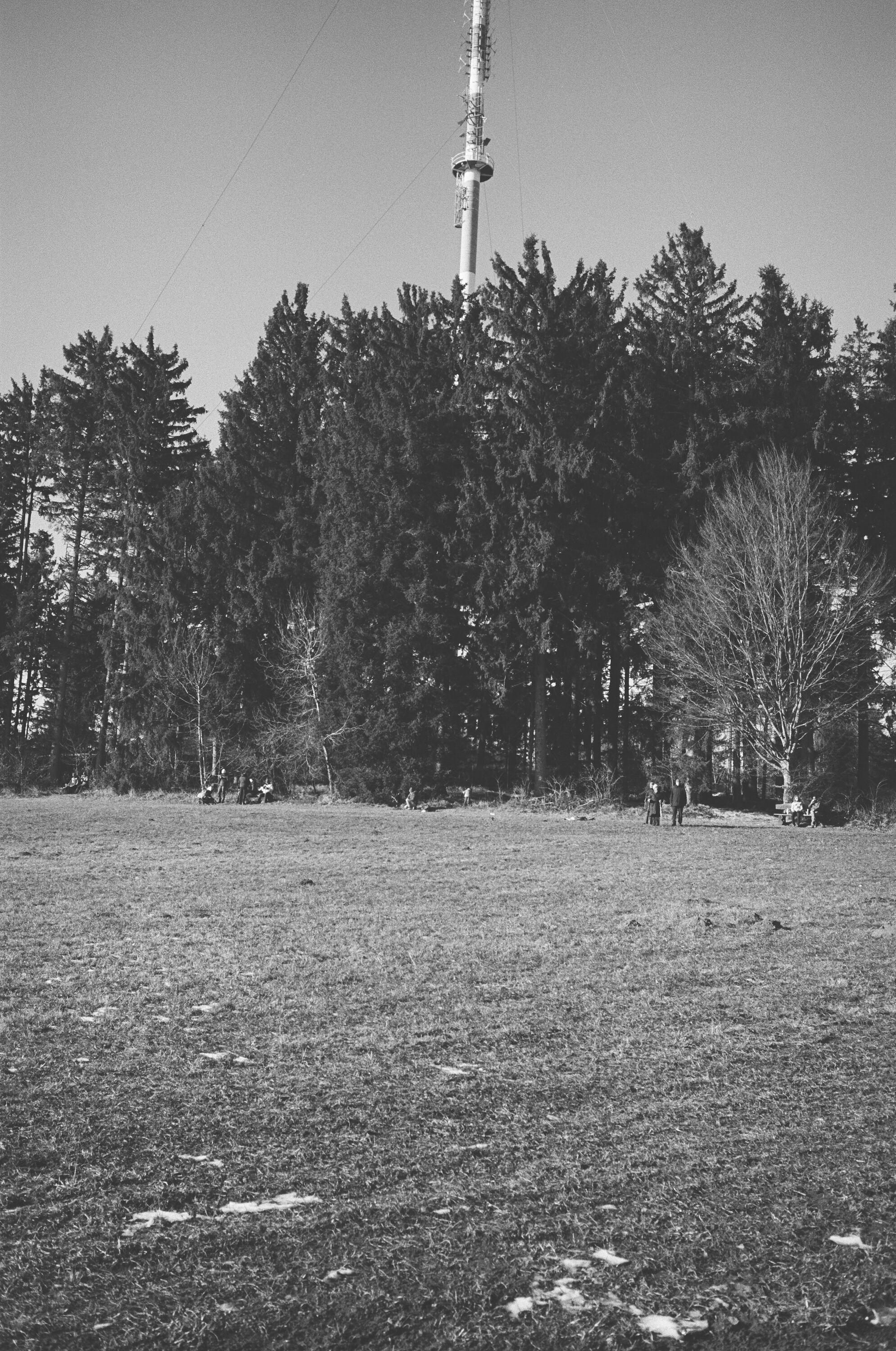 LEICA MP Leica MP 514108020018