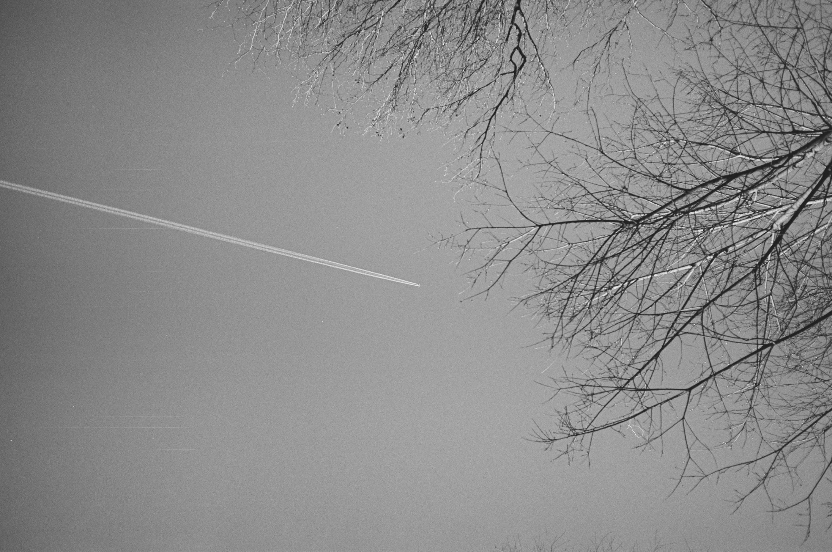 LEICA MP Leica MP 514108020020
